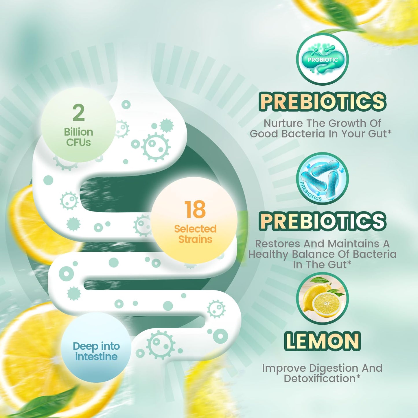 VivoNu Probiotics for Digestive Health Gummies, 2 Billion CFU Probiotic, Zinc, Magnesium and Vitamin D3, 1 Count