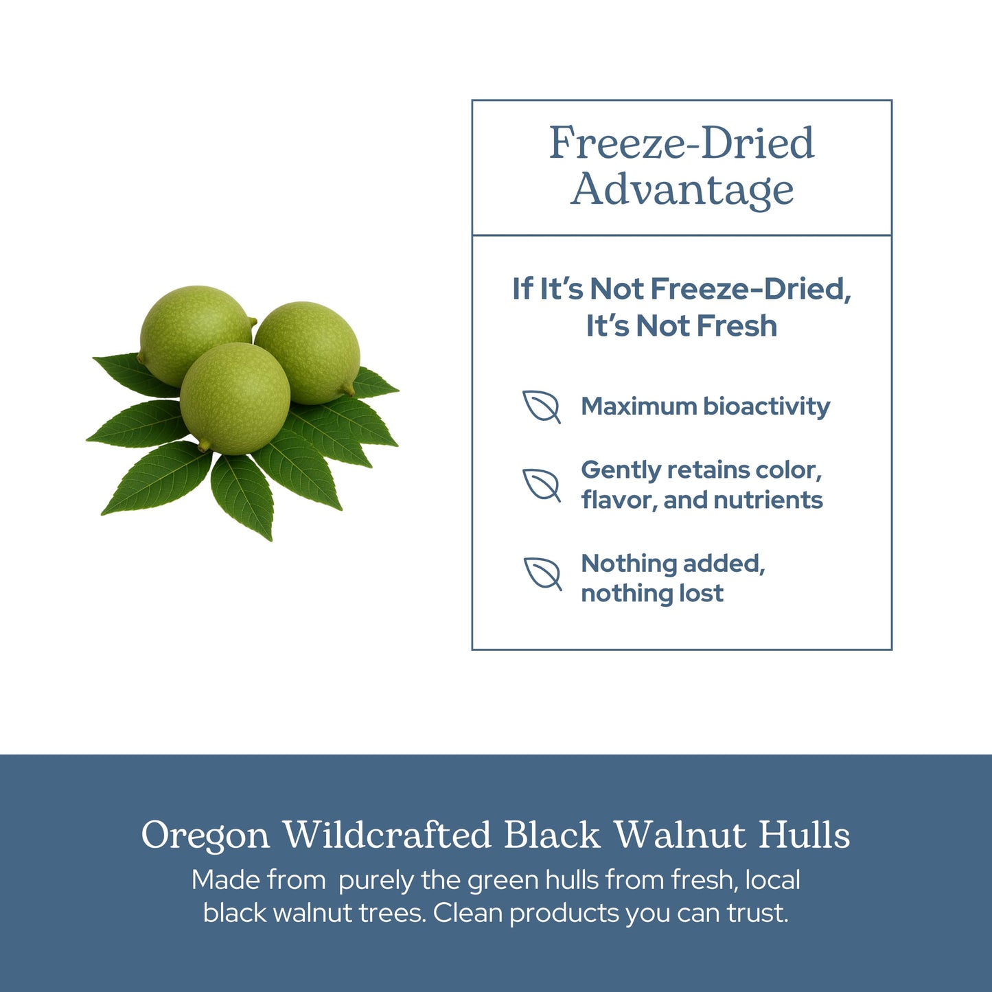Eclectic Institute Black Walnut Capsules 90 Count