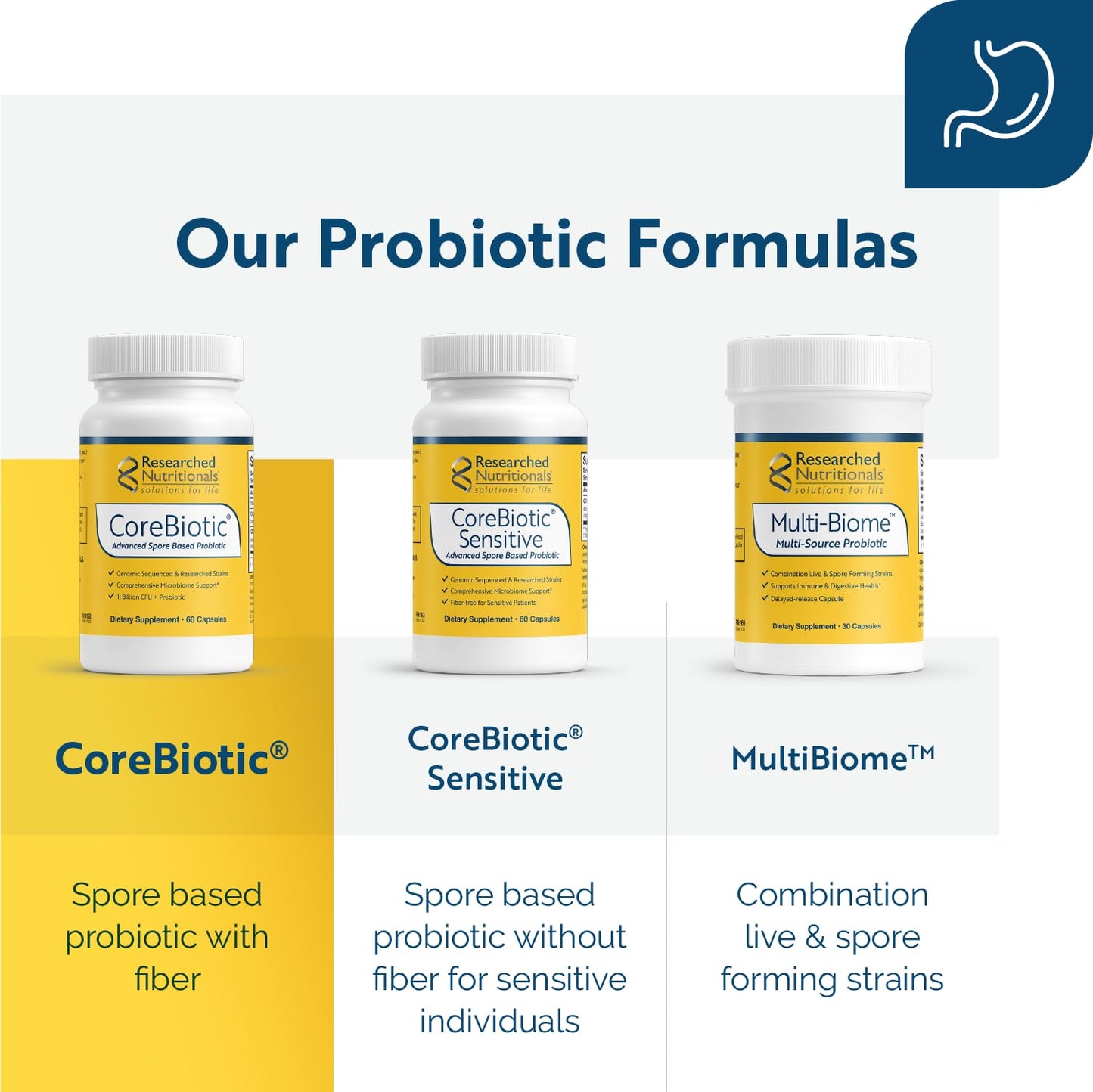 Researched Nutritionals Gut Health Supplements with Prebiotics & Probiotics for Women & Men - CoreBiotic - 3 Spore Based Probiotic Strains + Organic Prebiotic Fiber - Shelf-Stable, 60 Capsules