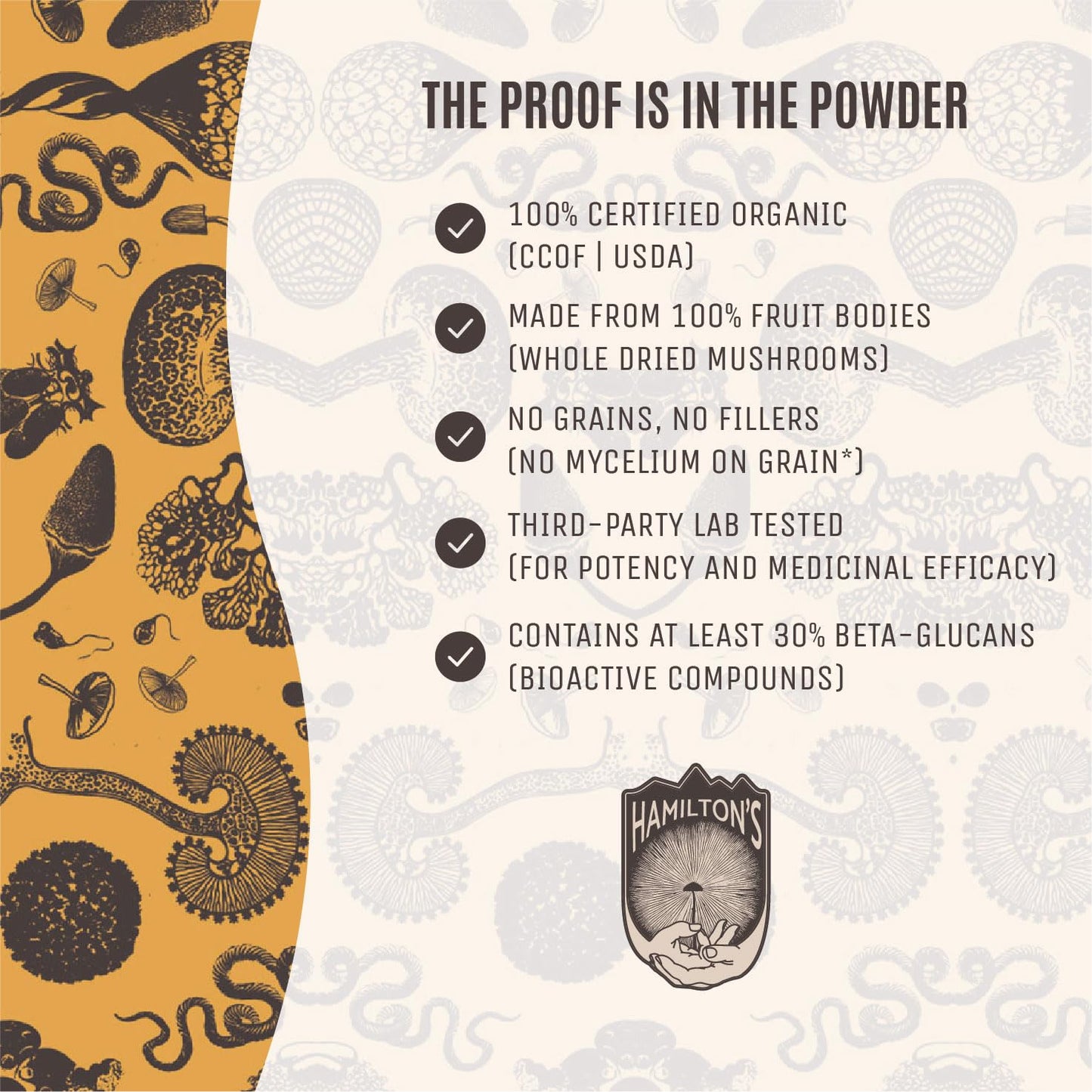 Hamilton's True Chaga Organic Mushroom Extract Powder 7.05 oz