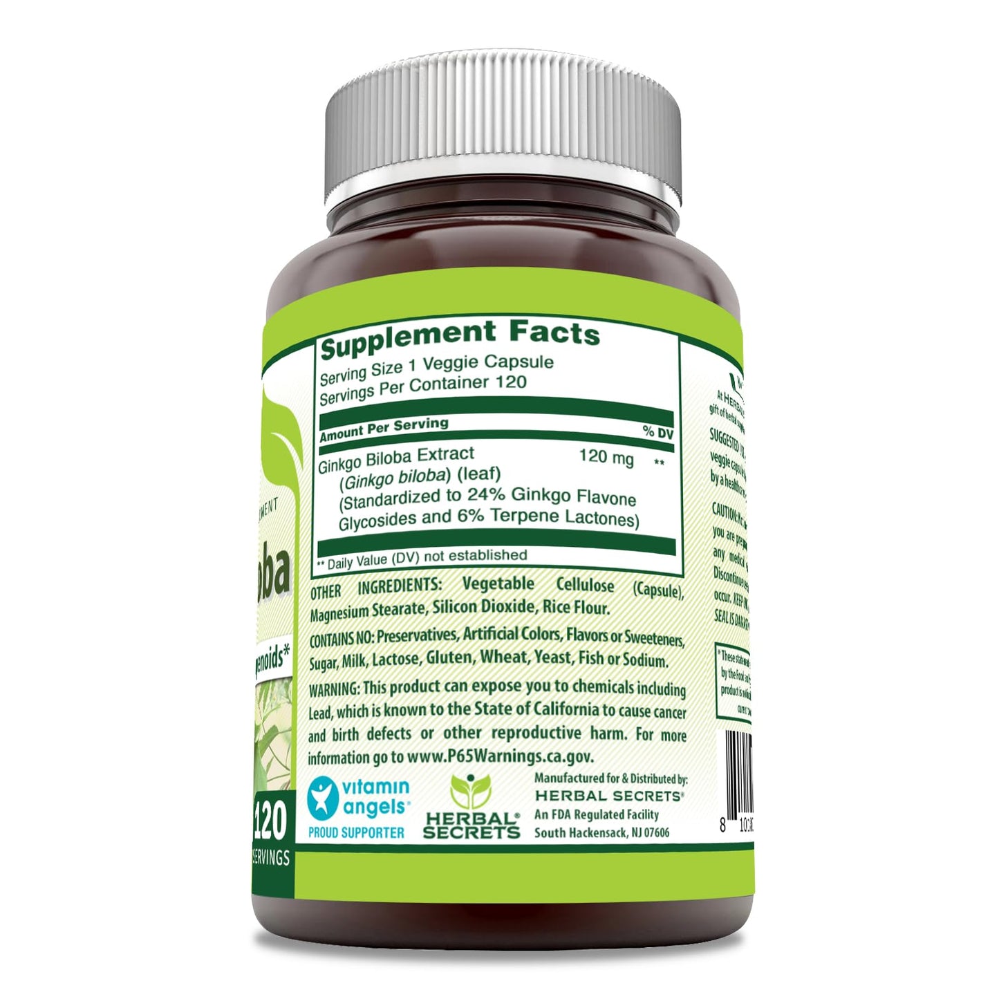 Herbal Secrets Ginkgo Biloba Supplement 120mg Capsules 120 Count