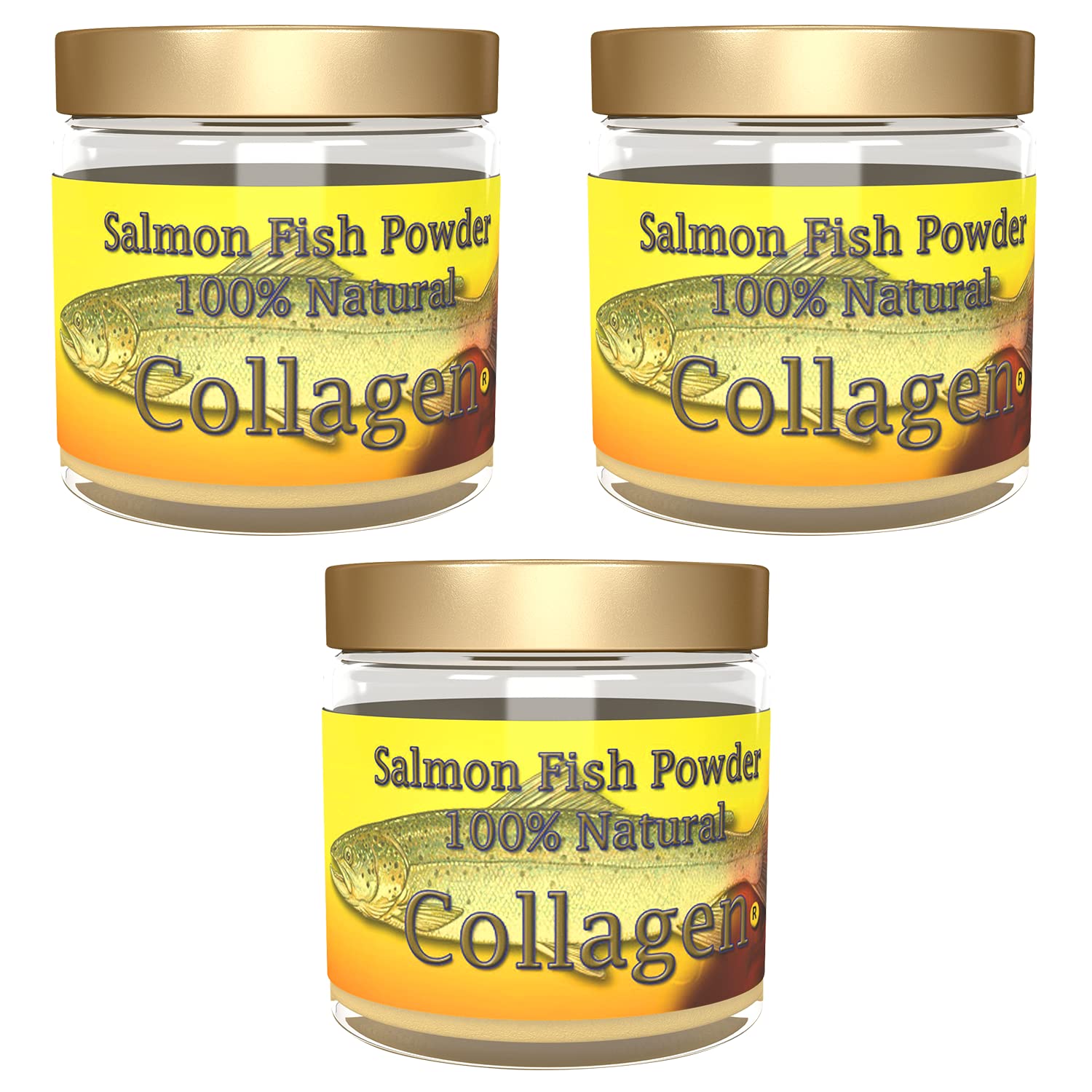 Salcoll 100% Natural Bioactive Marine Collagen Powder, 3 Pack