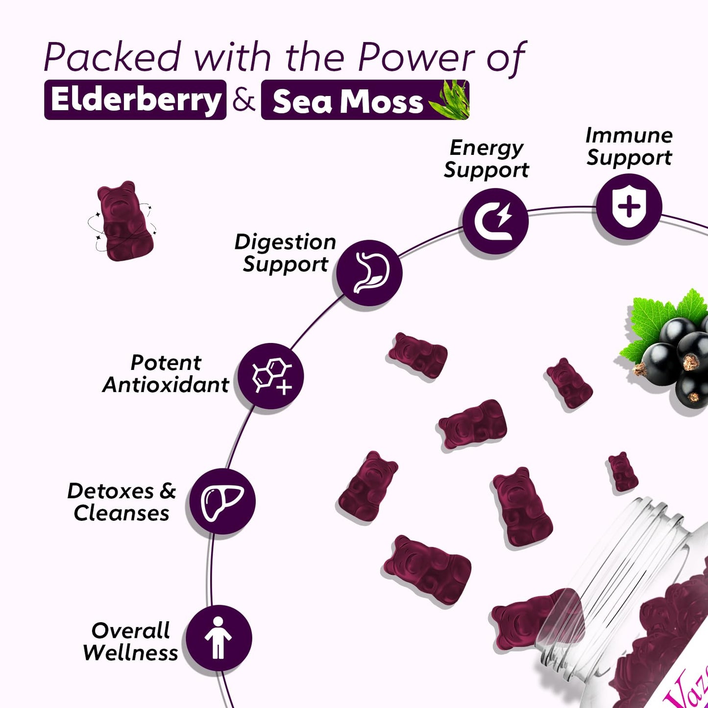 Vazatisi Elderberry Gummies with Sea Moss, Extra Strength Elderberry with Vitamin C, Zinc for Immune Support, Blueberry Flavor, 120 Gummies