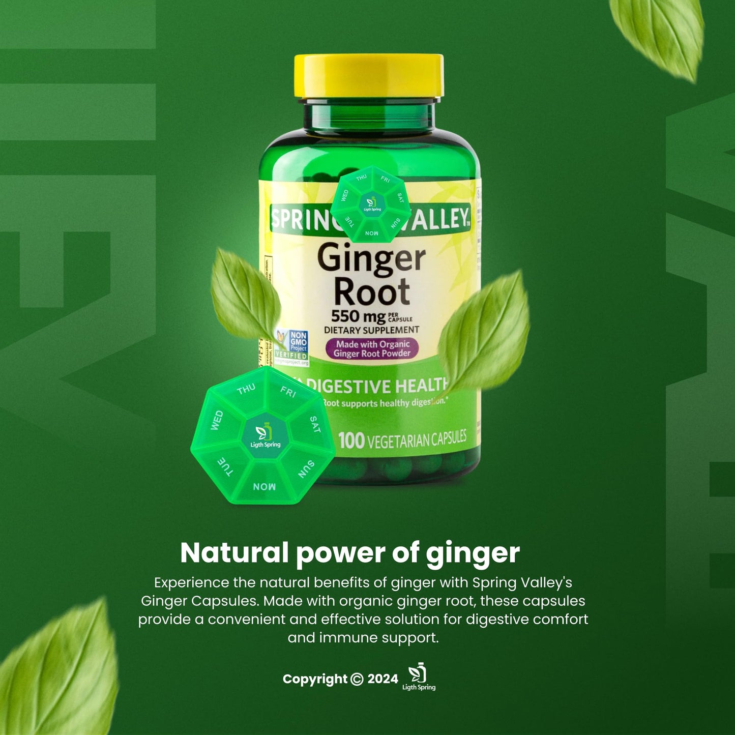 LightSpring Ginger Root 550 mg Capsule, 100 Count