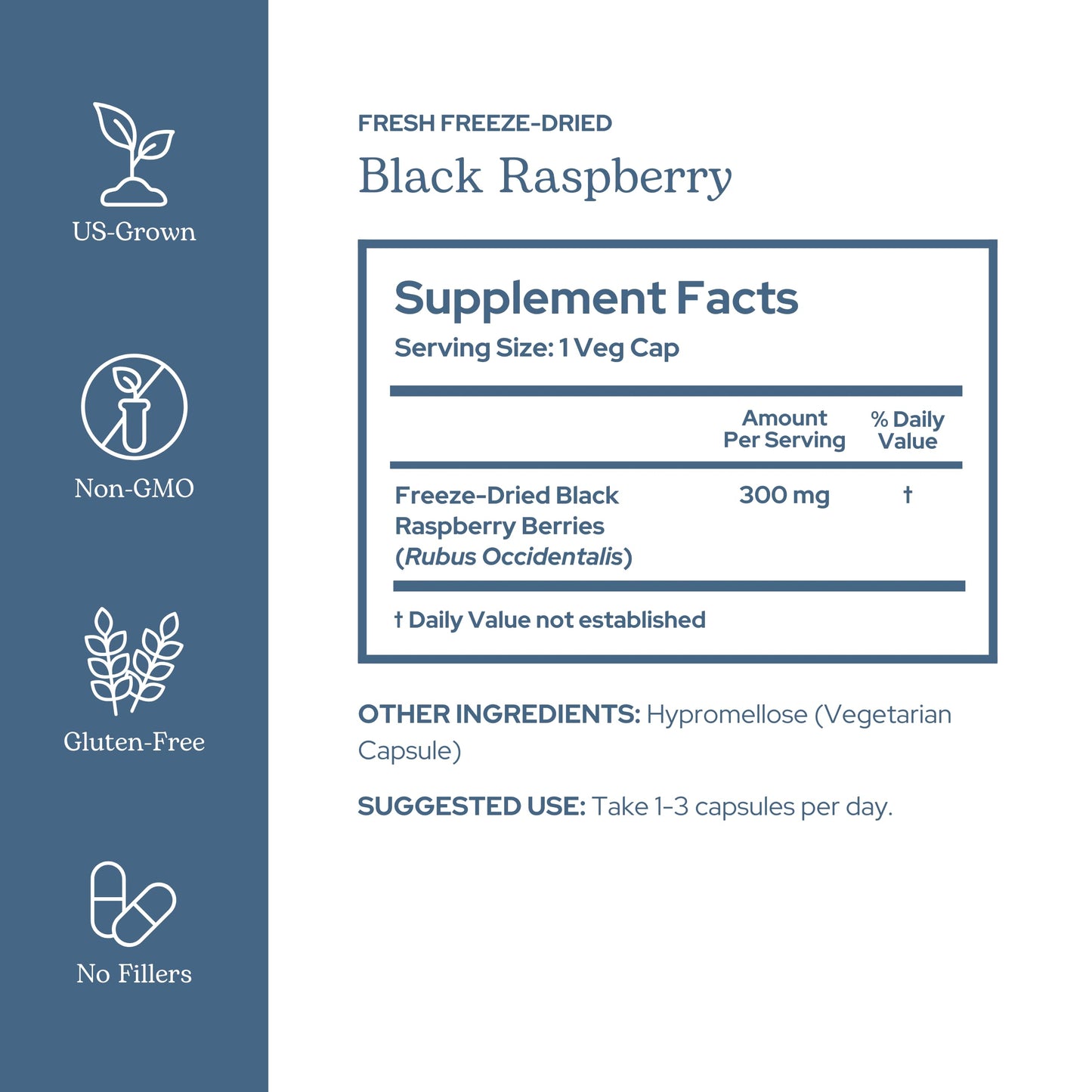 Eclectic Institute Black Raspberry Capsules (90 Count)