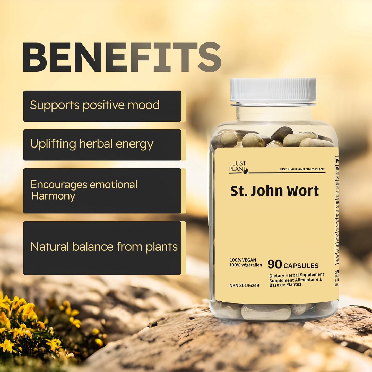 Just Plant St. John's Wort 750 mg Capsules 90 Count