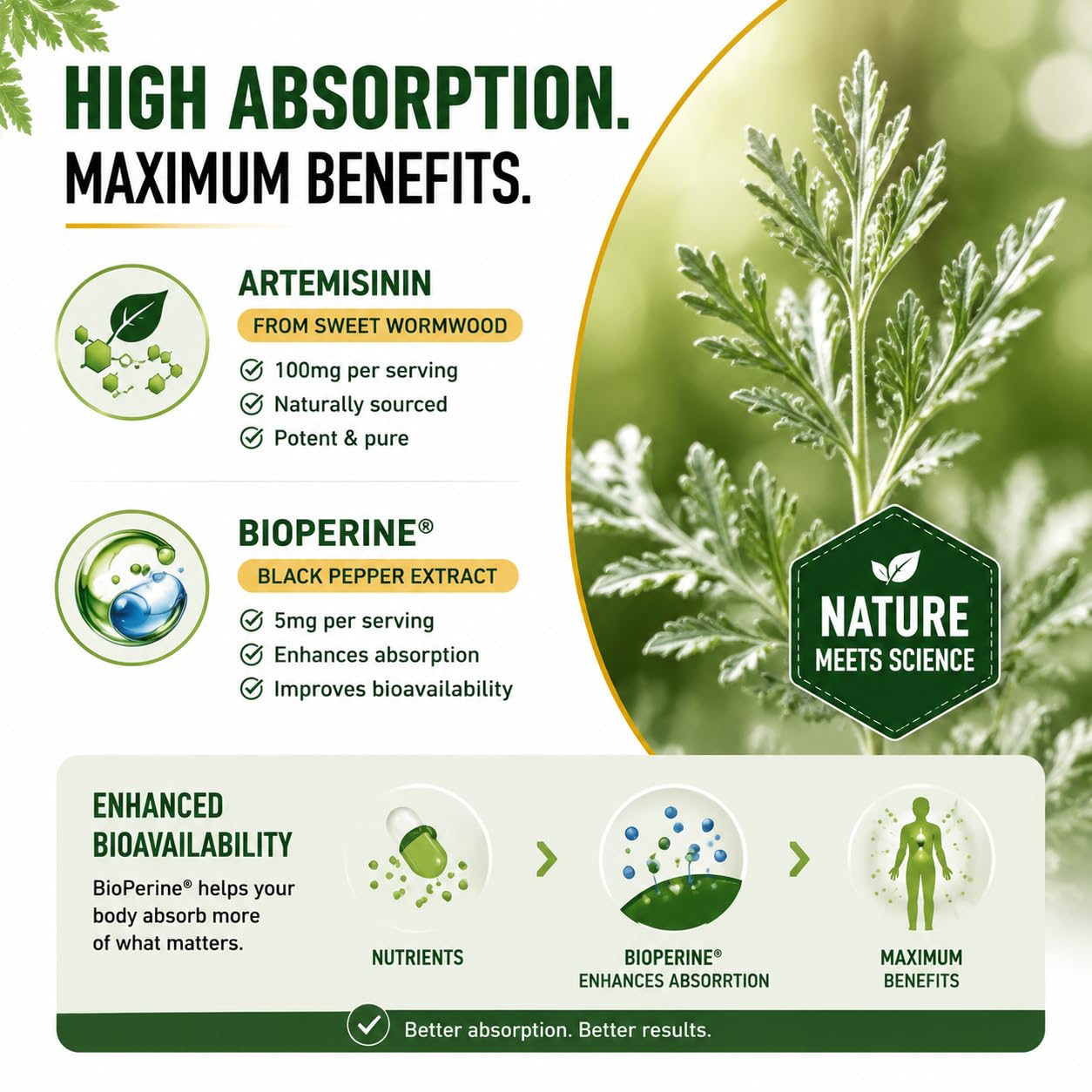 LIIFE Artemisinin (from Sweet Wormwood) with Bioperine, 100mg Capsules, 120 Count