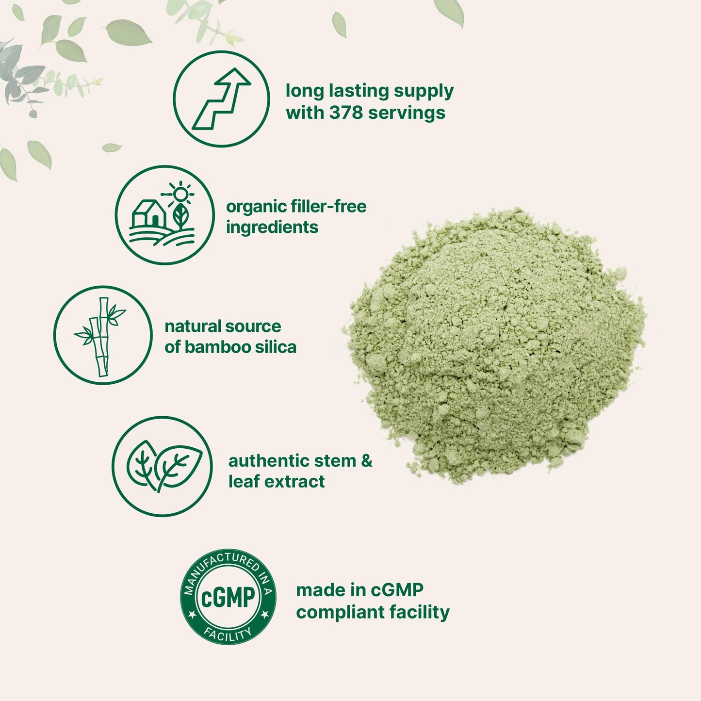 Micro Ingredients Organic Bamboo Extract Powder, 8 oz