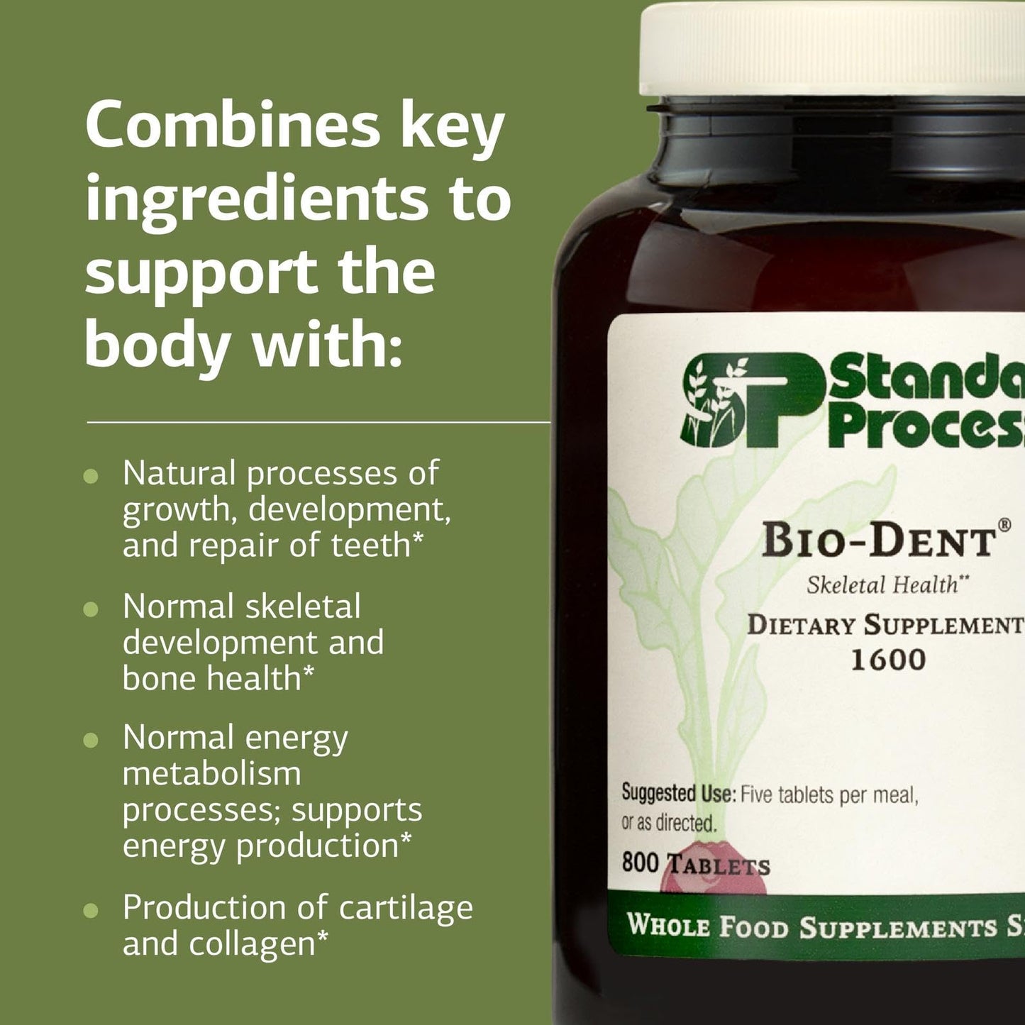 Standard Process Inc. Bio-Dent Skeletal Health Supplement Tablets 800