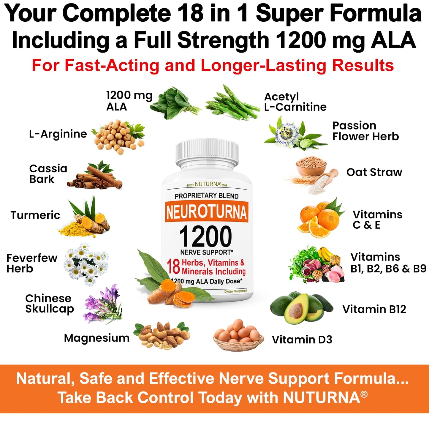 Nuturna Neuroturna Support Supplement Capsule, 180 Capsules