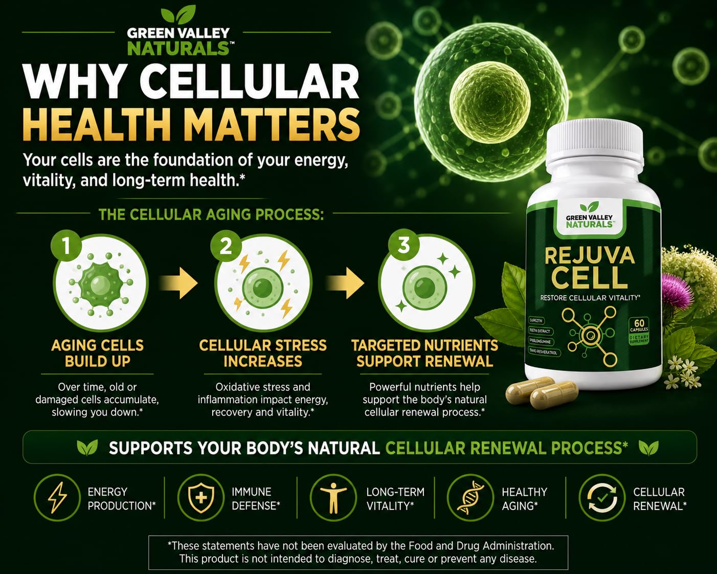 Green Valley Naturals RejuvaCell Longevity Supplement Fisetin, Quercetin Phytosome, Trans-Resveratrol & Piperlongumine, 60 Capsules