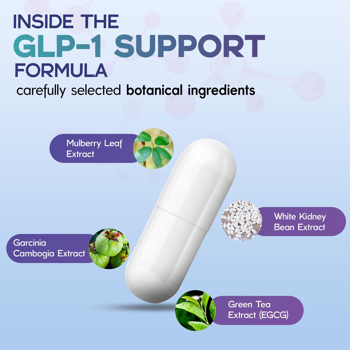 BODY C.E.O. EXECUTIVE OF SUPPLEMENTS GLP-1 Support Supplement for Men, 60 Capsules