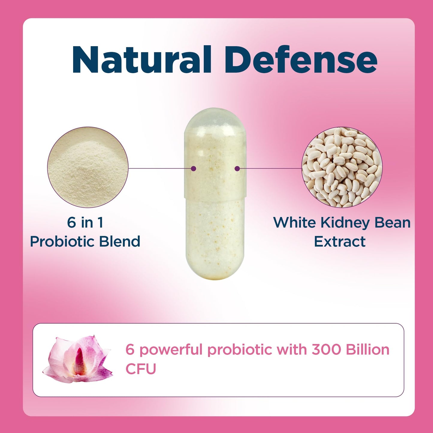 Aromlife Women's Probiotics 300 Billion CFUs Probiotic for Daily Digestive & Balance with 6 Strains Plant-Based with White Kidney Bean Extract Capsule 60 Count