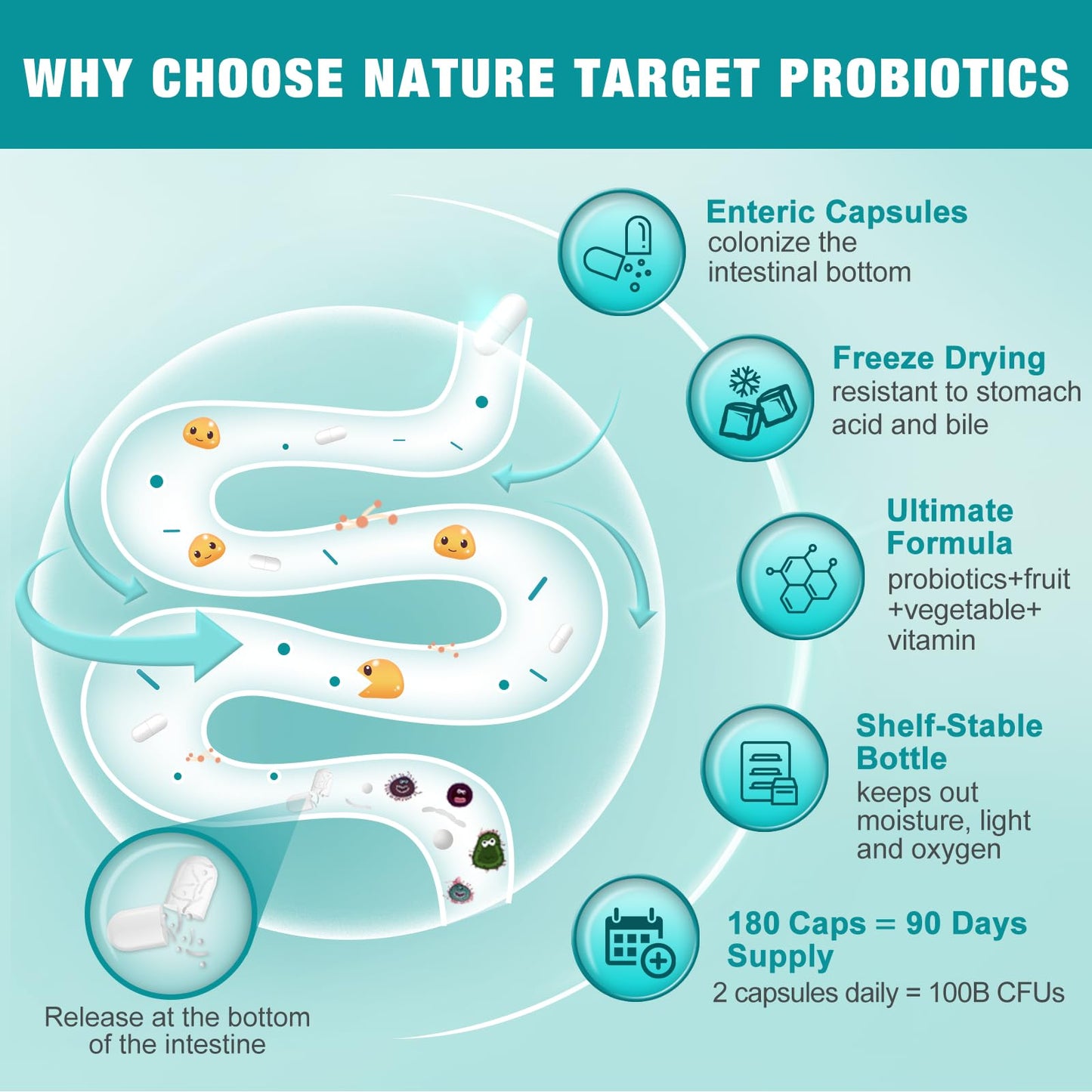 NATURE TARGET Probiotics for Women and Men Digestive Health with Prebiotics, 100 Billion CFUs, 180 Capsules