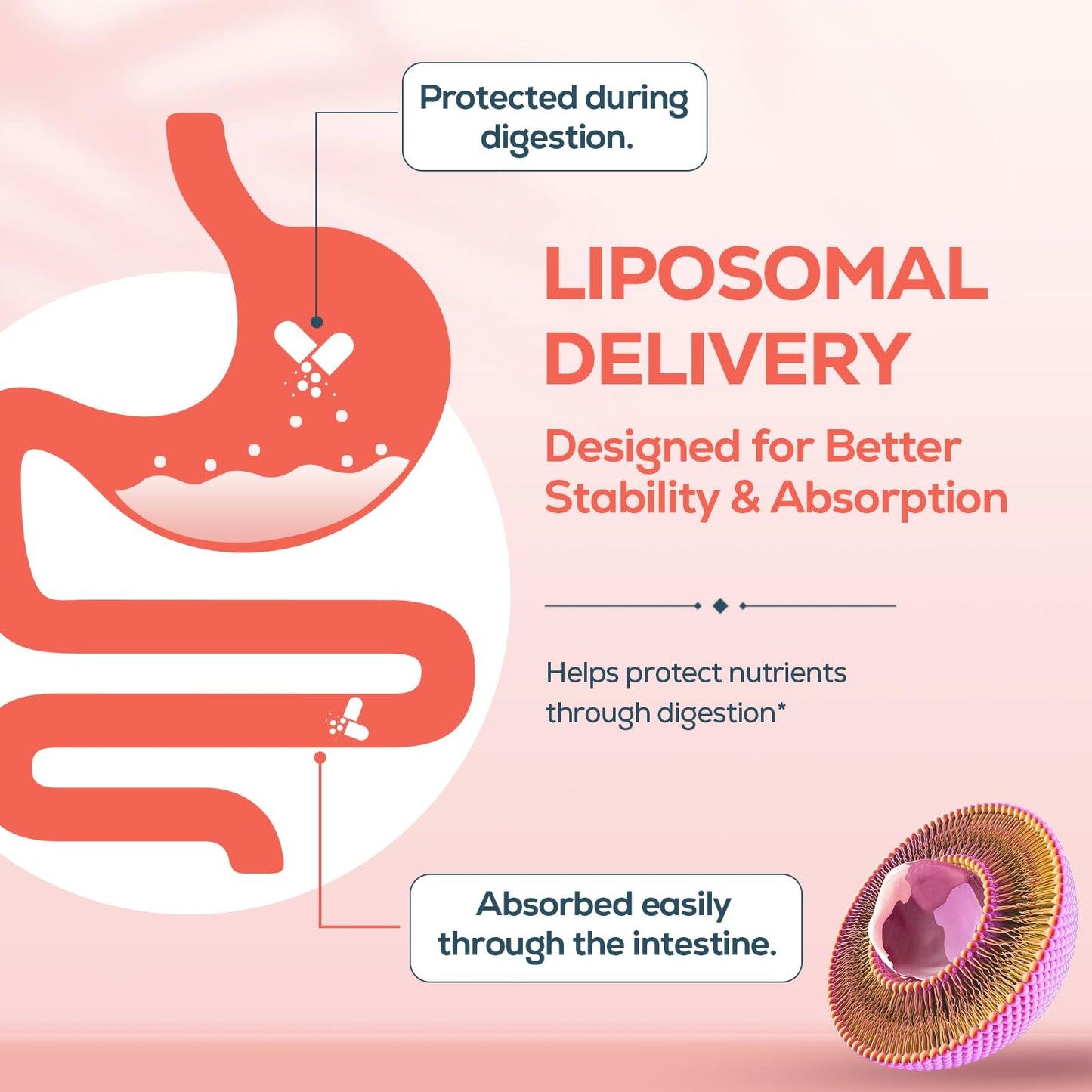 IcarusIvy NAD for Women NMN Alternative Female Liposomal NAD+ Capsules, 180 Capsules
