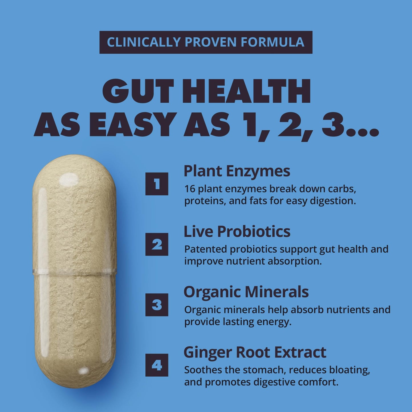 Gains in Bulk Total Digest Digestive Enzymes, Prebiotics and Probiotics for Digestive Health, Bloating Support, Gut Health for Women and Men, Promotes Protein, Carb and Fat Digestion, 270 Capsules