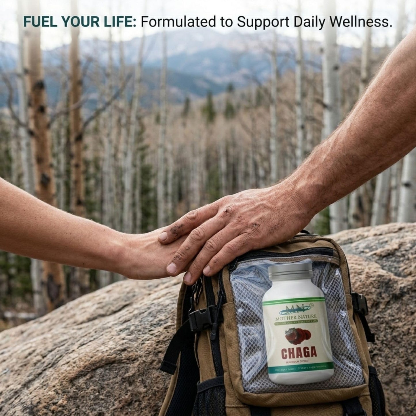 Mn Mother Nature Inc Chaga Mushroom Extract Supplement 1000mg Inonotus Obliquus Fruiting Body Capsules 120 Count
