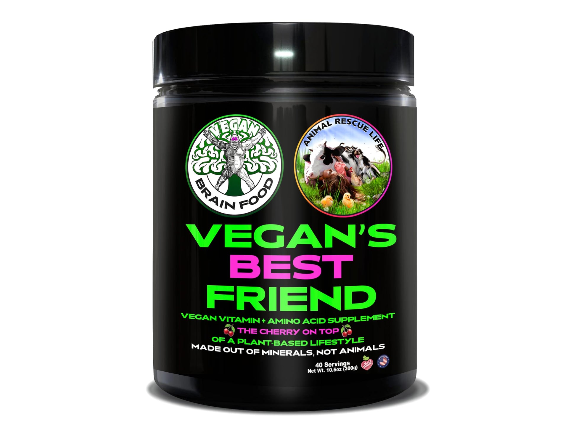 Vegan Brain Food Vegan's Best Friend Plant Based Multivitamin for Men & Women - Brain, Memory, Energy, Immune, Mood & Stress Support - Powder 10.6 oz