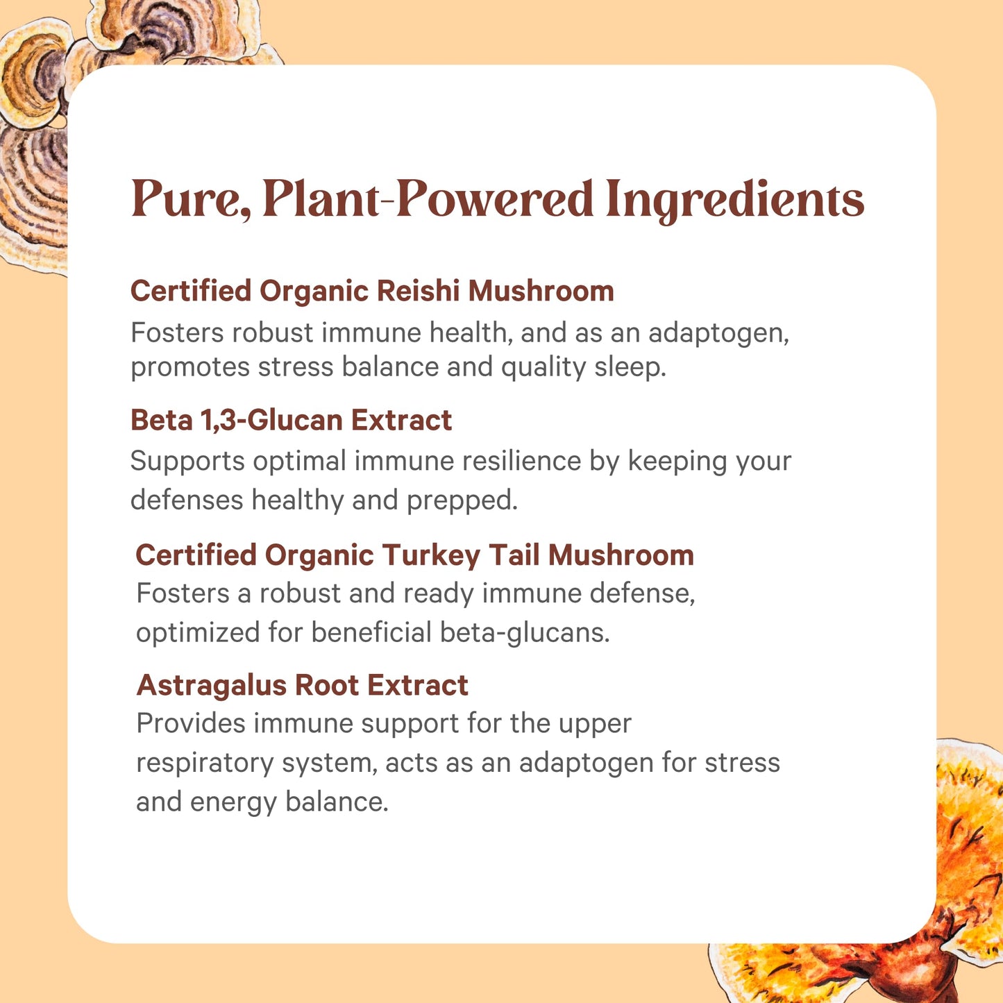 PURE SYNERGY Immune Health Immune Support Mushroom Supplement 60 Capsules