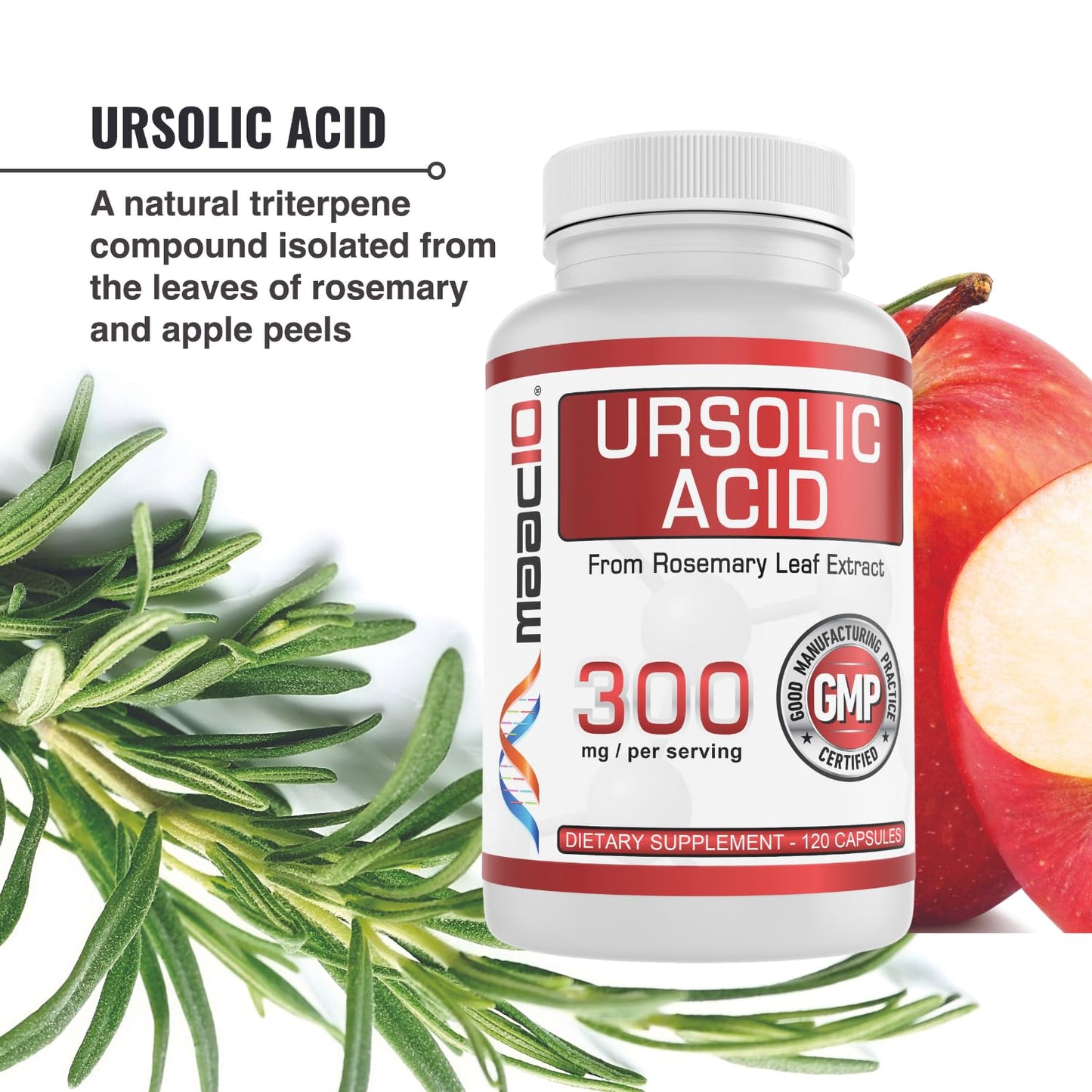 MAAC10 Ursolic Acid 300mg from Rosemary Extract Capsule, 1 Capsule