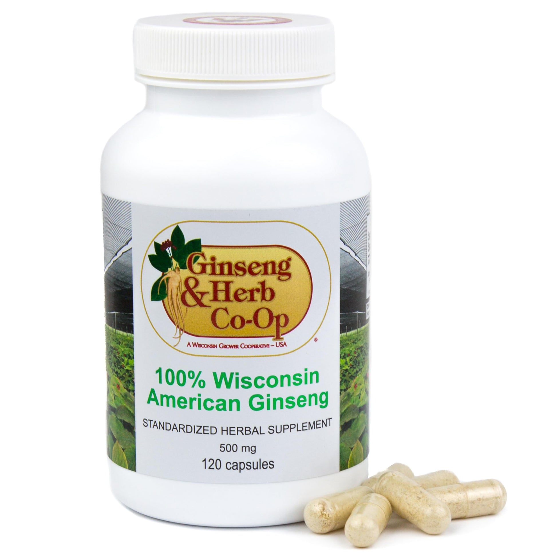GINSENG & HERB CO-OP A WISCONSIN GROWER COOPERATIVE - USA Wisconsin American Ginseng Capsules, 120 Count