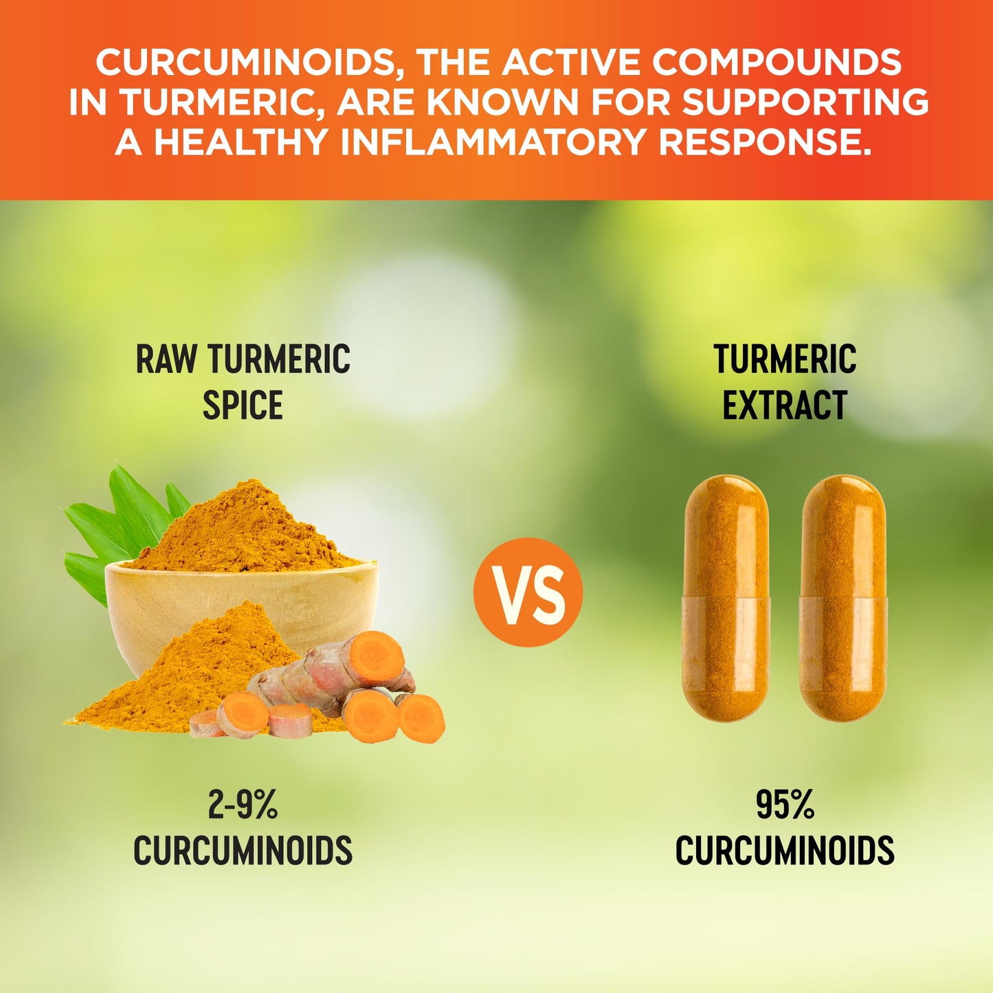 Vitalize Life Organic Turmeric Curcumin Supplement Capsules, 60 Capsules