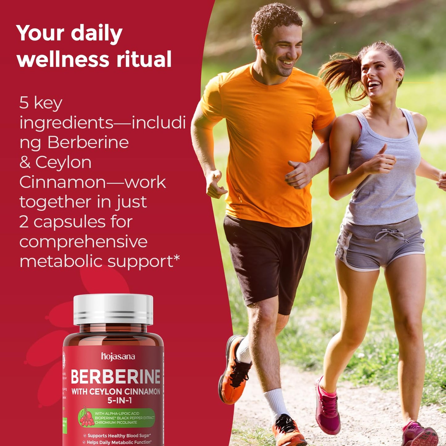 HojaSana 5-in-1 Berberine Complex 500mg with Ceylon Cinnamon Capsules, 60 Count