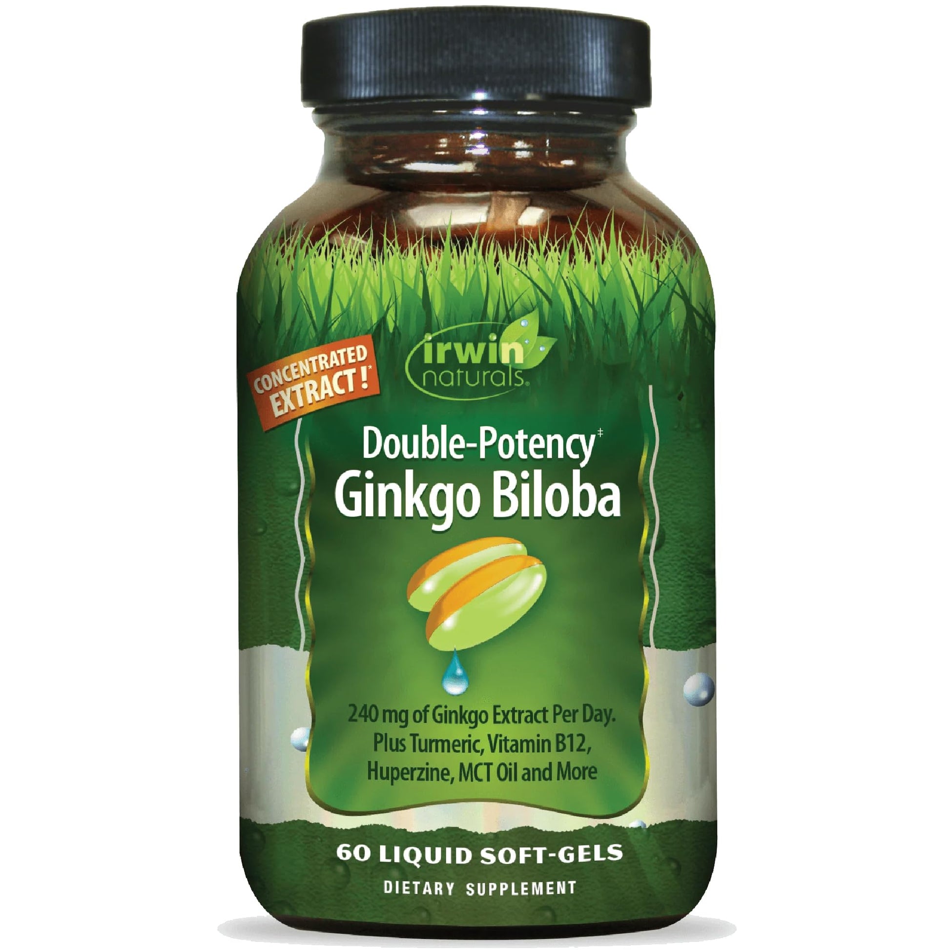 Irwin Naturals Ginkgo Biloba Softgels, 60 Count