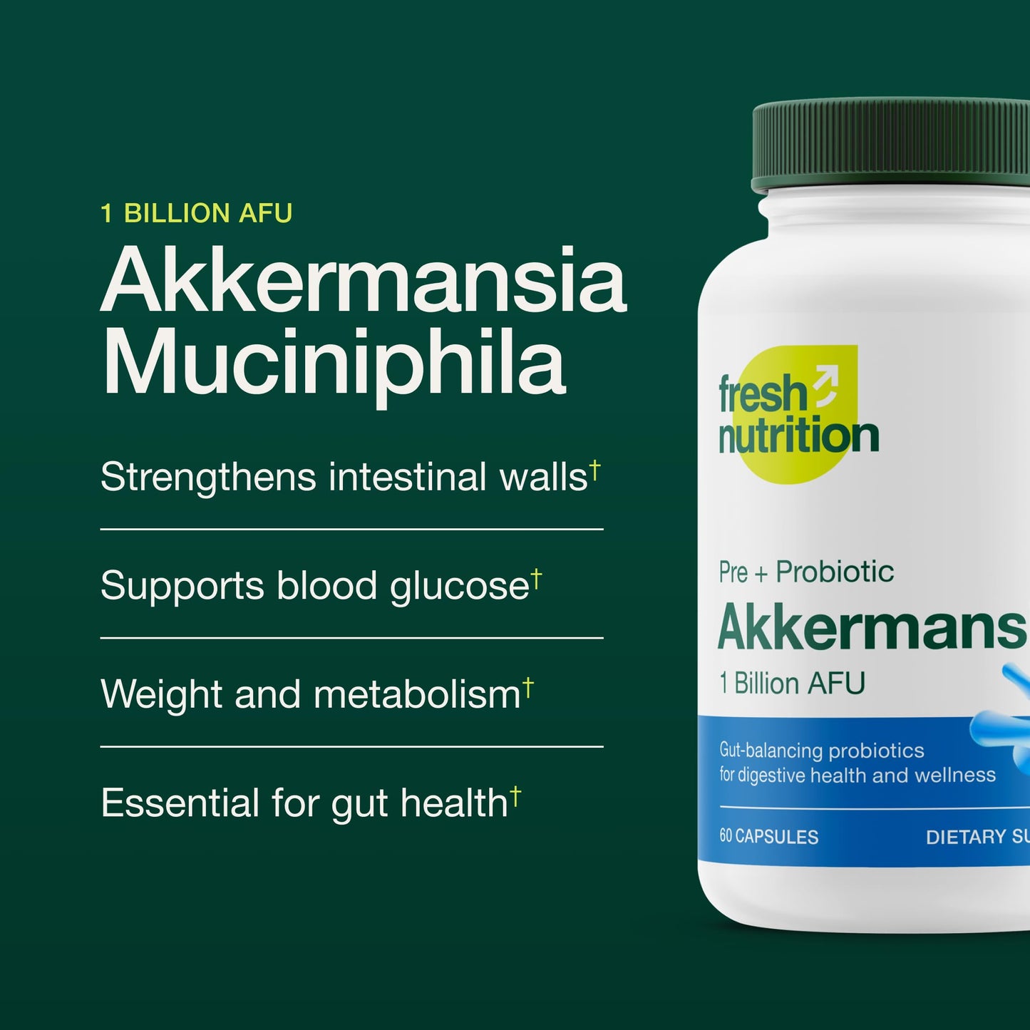 Fresh Nutrition Akkermansia Muciniphila Probiotic 1 Billion AFU, 60 Capsules