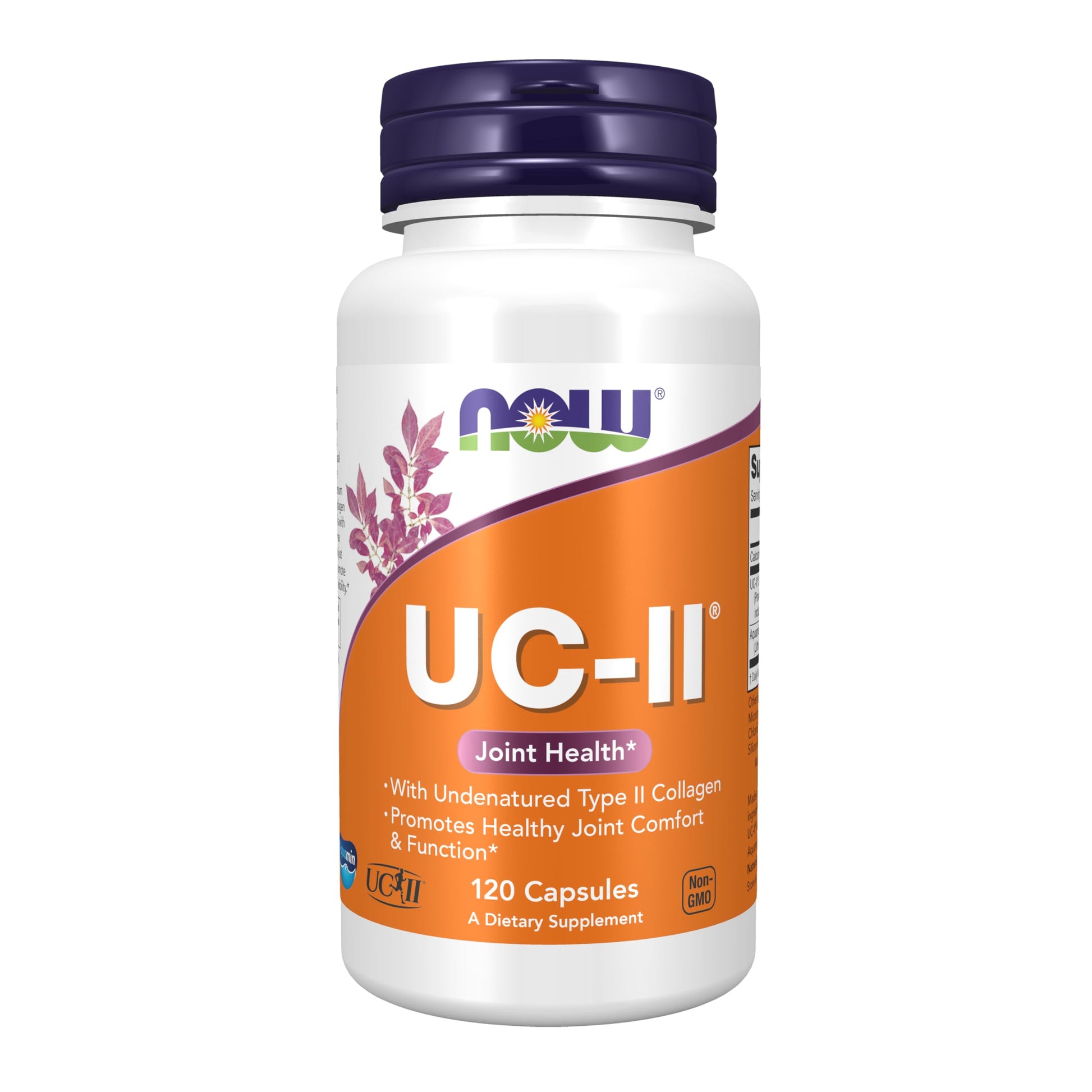 NOW Foods UC-II Type II Collagen Capsule 120