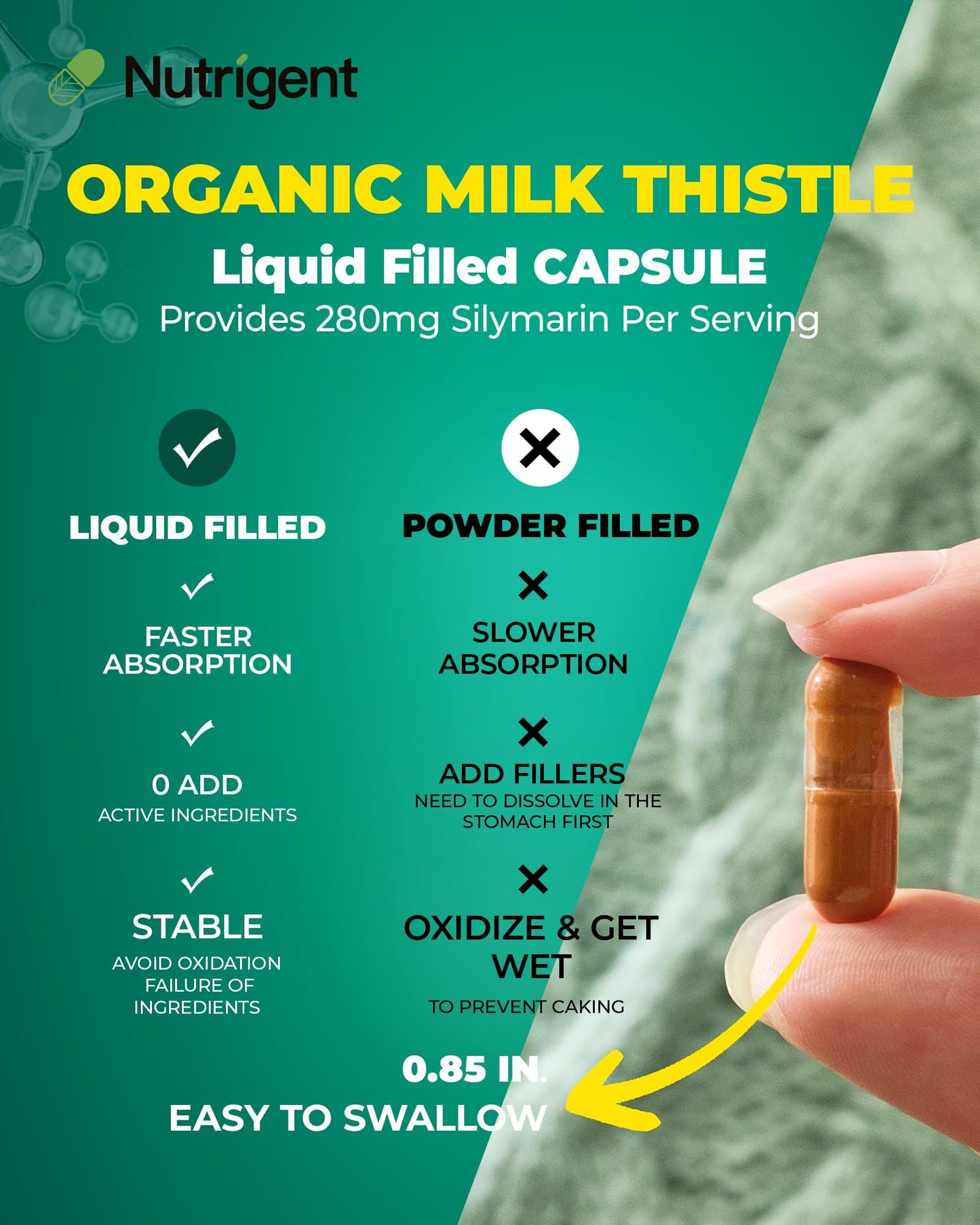 Nutrigent Milk Thistle Supplement Capsule 60 Count