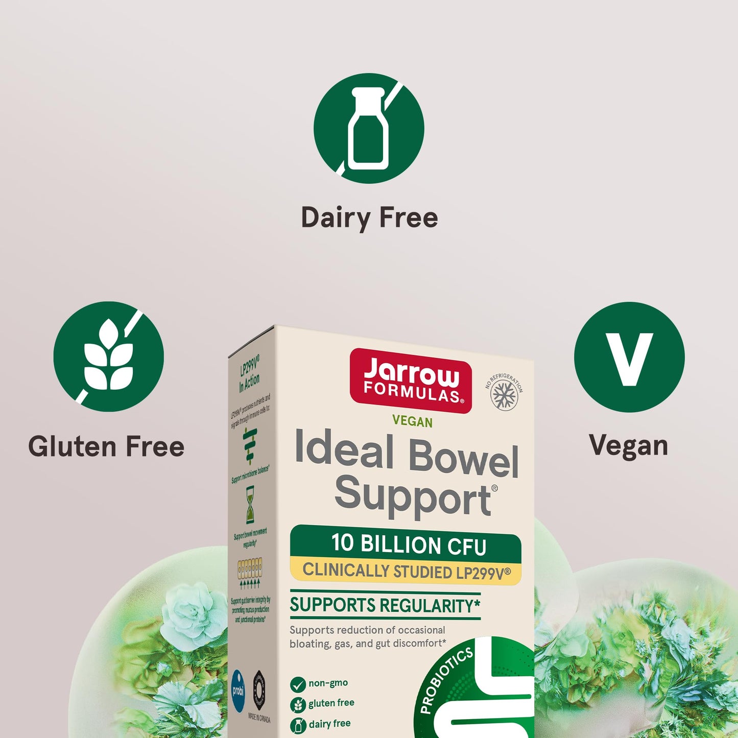 Jarrow Formulas Ideal Bowel Support Vegetarian Capsule 30 Veggie Capsules