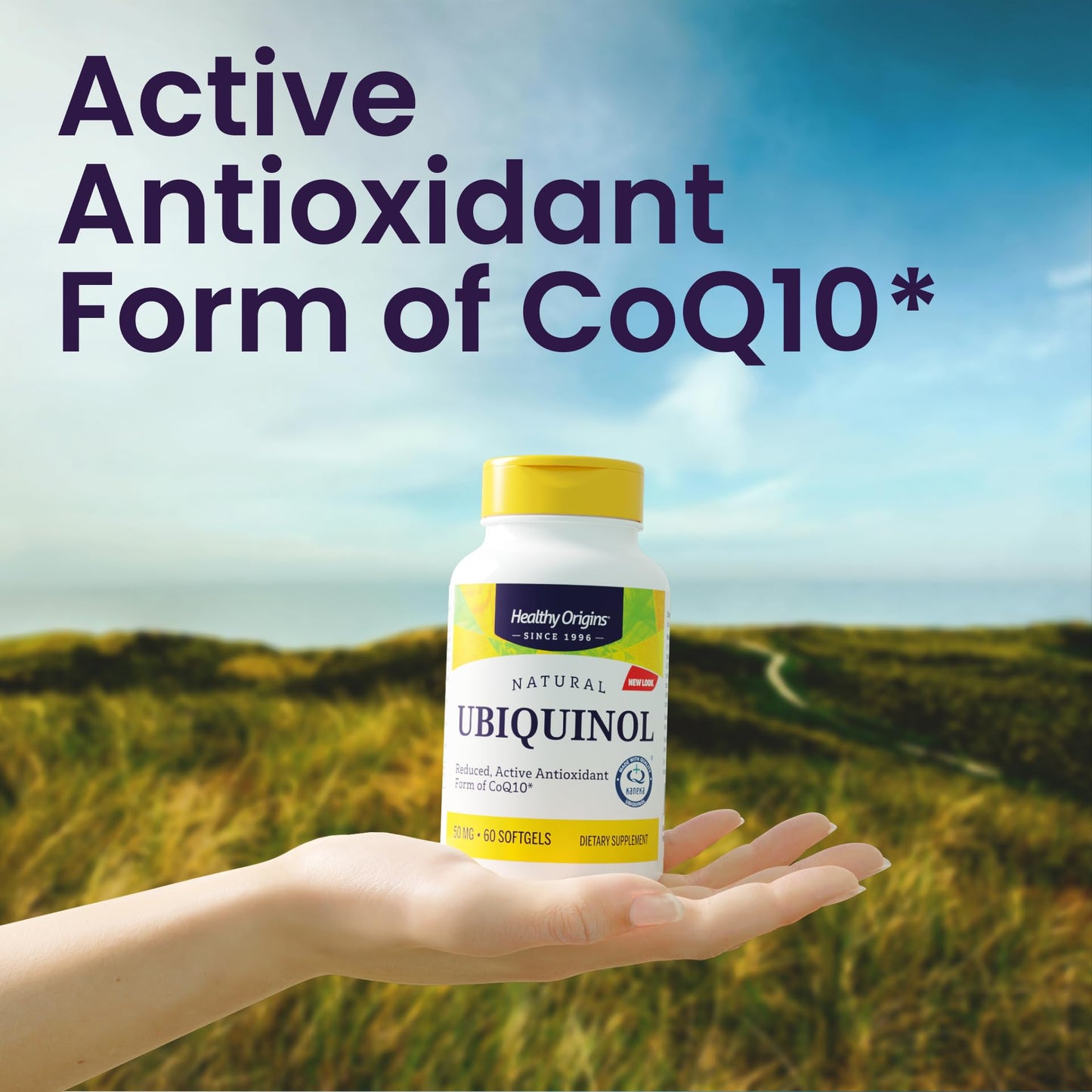 Healthy Origins Ubiquinol CoQ10 50 mg Softgels 150