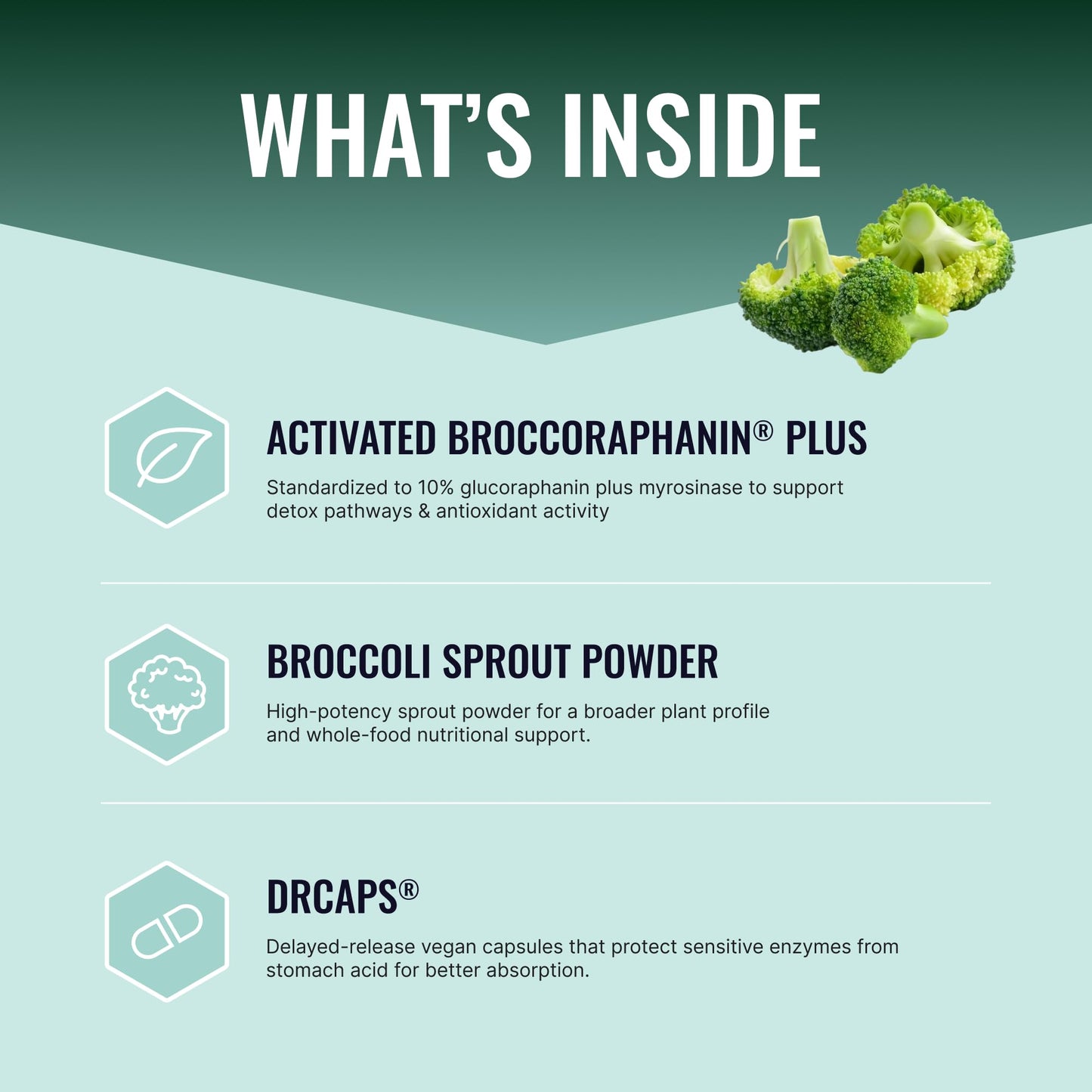 Approved Science Sulforaphane Delayed Release Capsules 90 Capsules