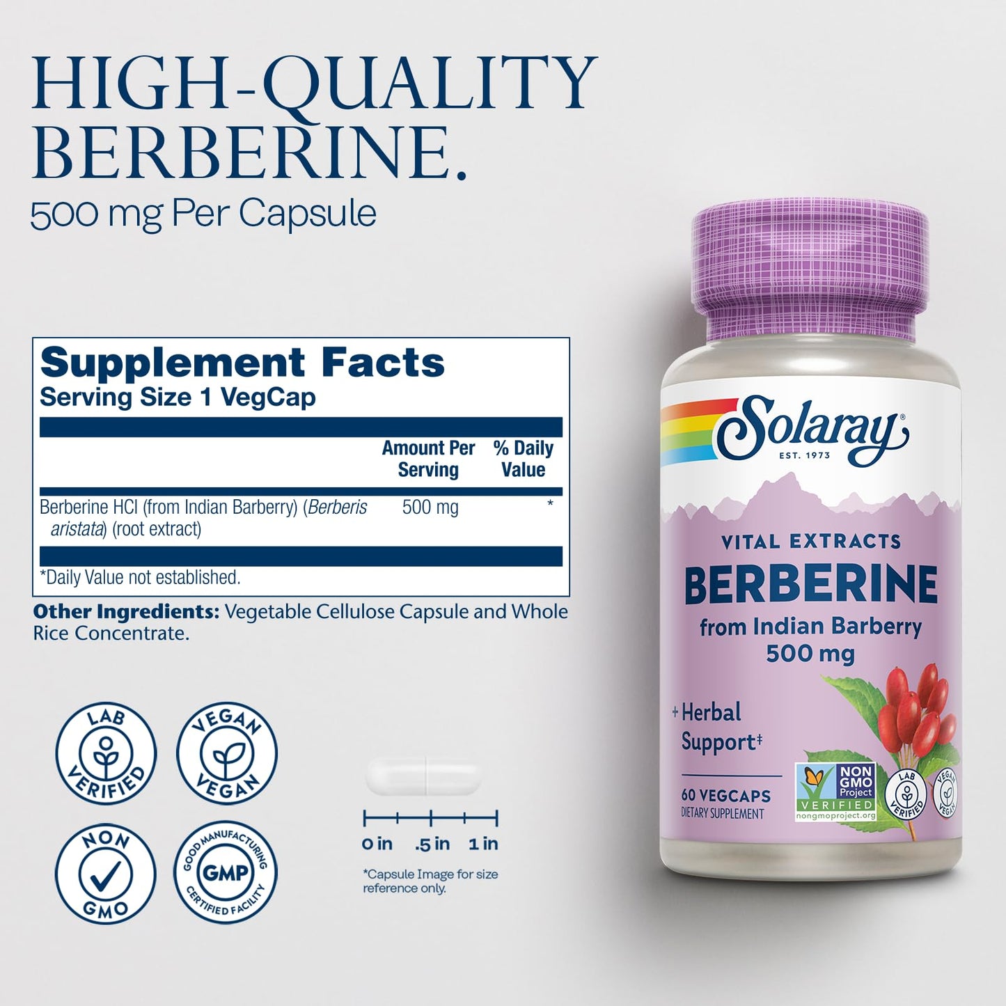 SOLARAY Berberine Extract 500 mg Capsule, 60 Count