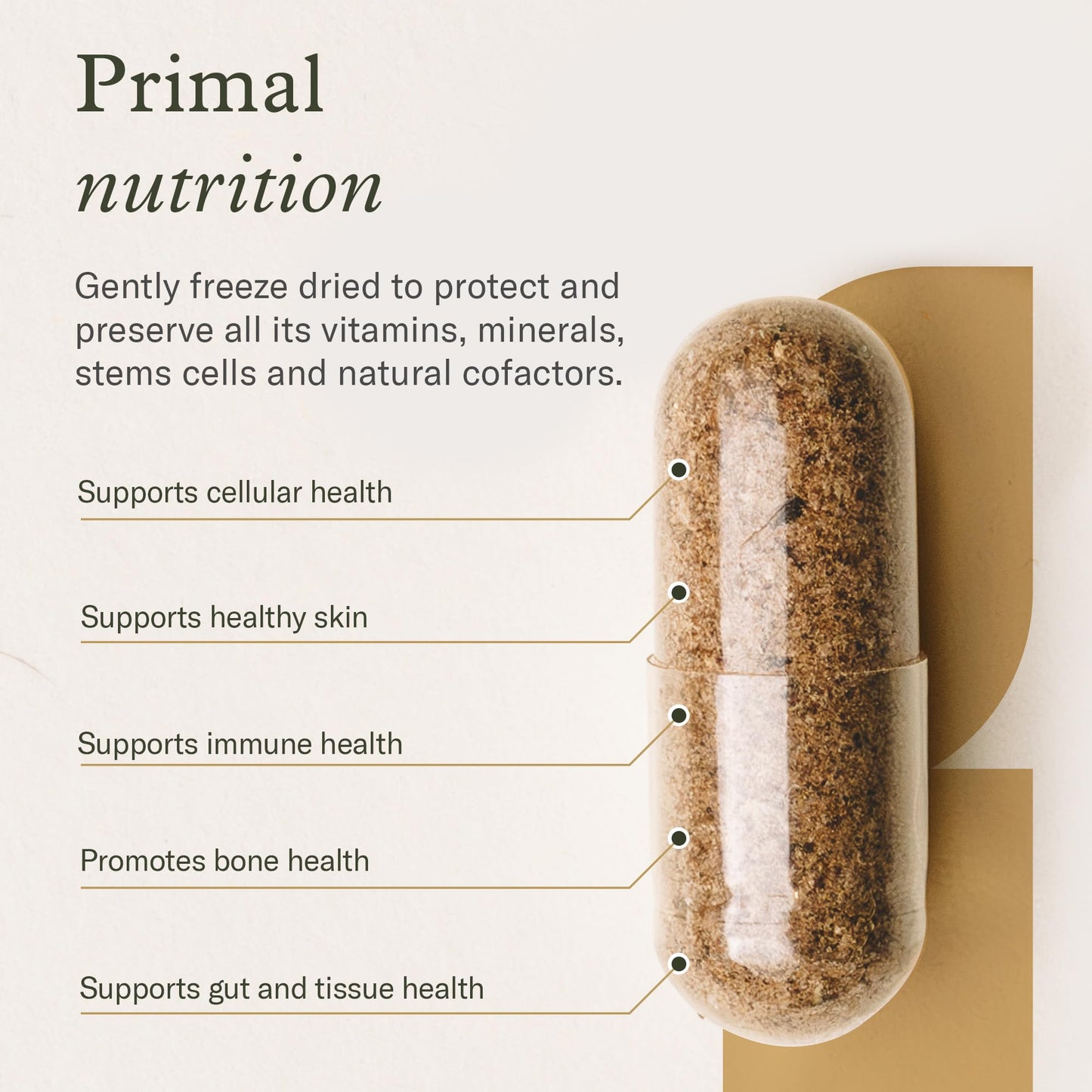 Enviromedica Bone Marrow Supplement Capsules 120 Capsules