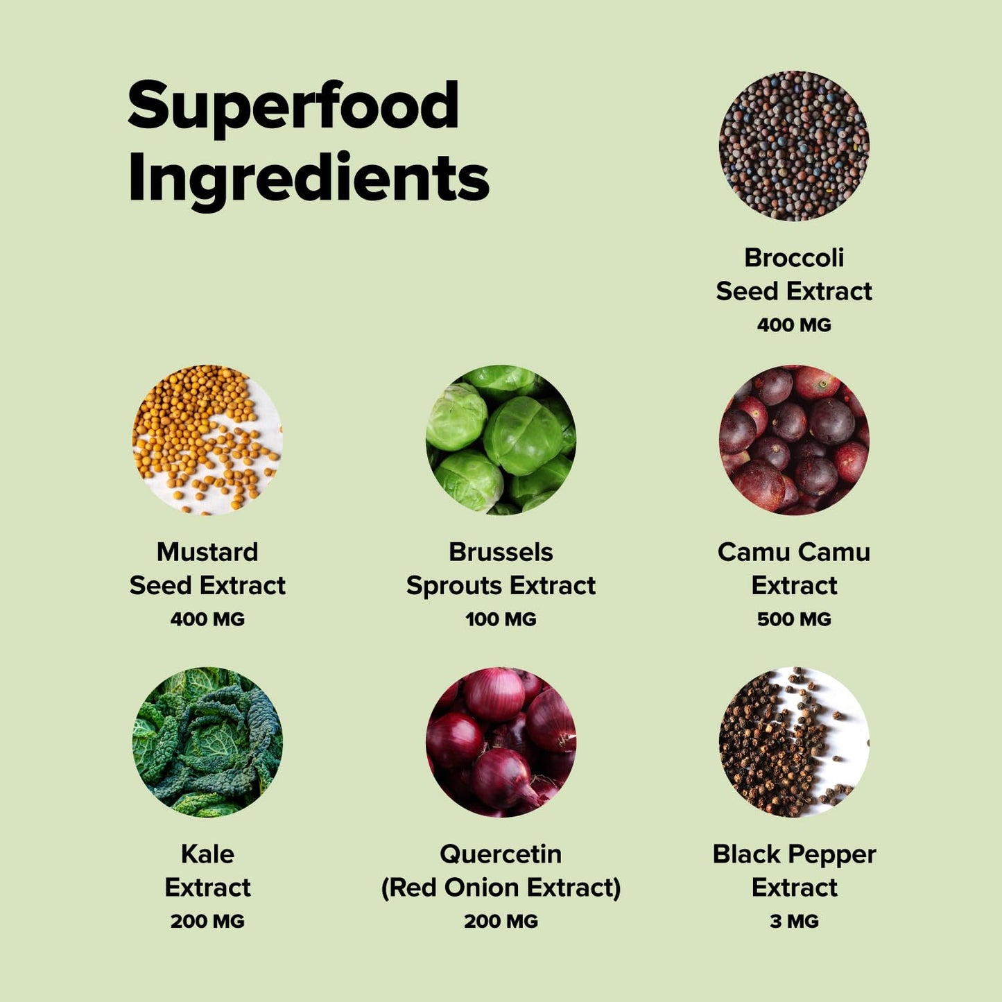 Complement Sulfora Sulforaphane Supplement with Myrosinase - 52mg Glucoraphanin from Broccoli Seeds, Kale & Quercetin - Antioxidant Detox & Immune Support, 60 Capsules