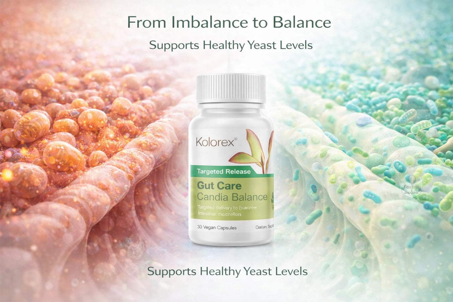 Kolorex Advanced Candida Care – Targeted Release Gut Balance Capsules, 30 Count