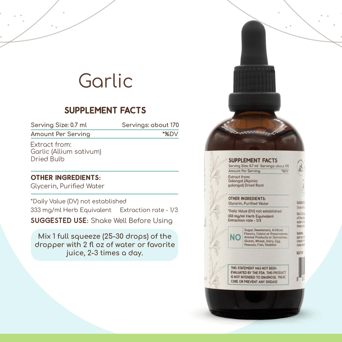 HerbEra Garlic B120 Alcohol-Free Herbal Extract Tincture Liquid 4 fl oz