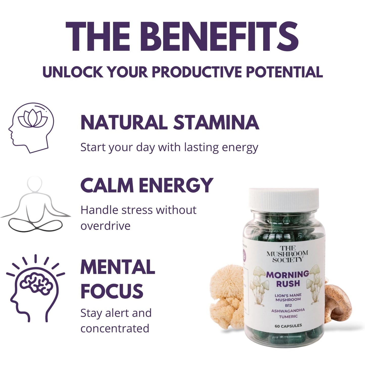 The Mushroom Society Lion Mane Power Capsules 360 Capsules