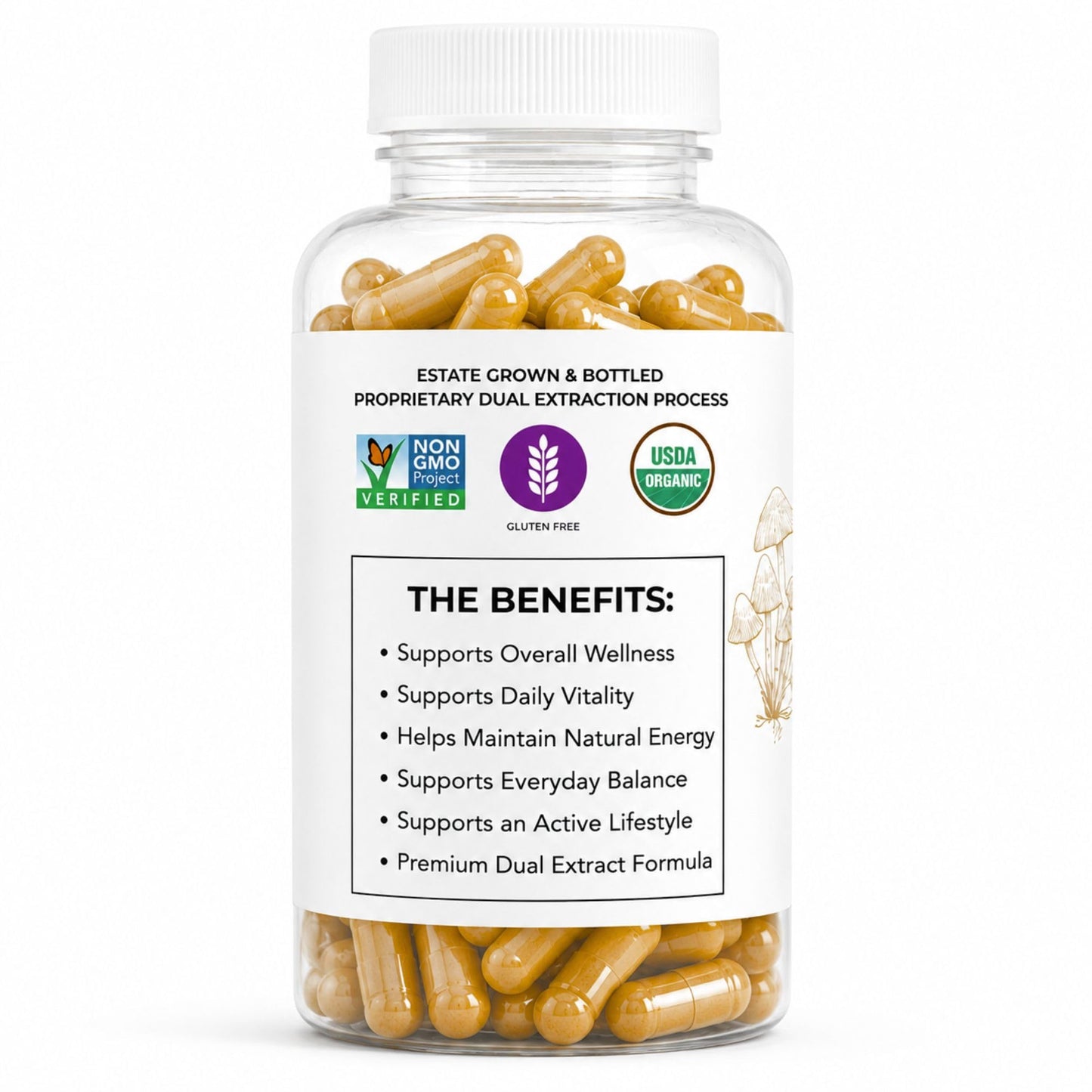 The Mushroom Society Morning Blend with Lion's Mane, Ashwagandha, Turmeric & Vitamin B12 Capsules, 60 Count
