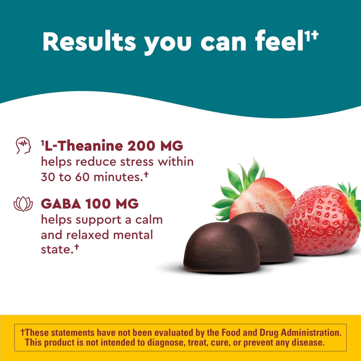 Nature Made Wellblends Stress Relief Gummies, 40-count