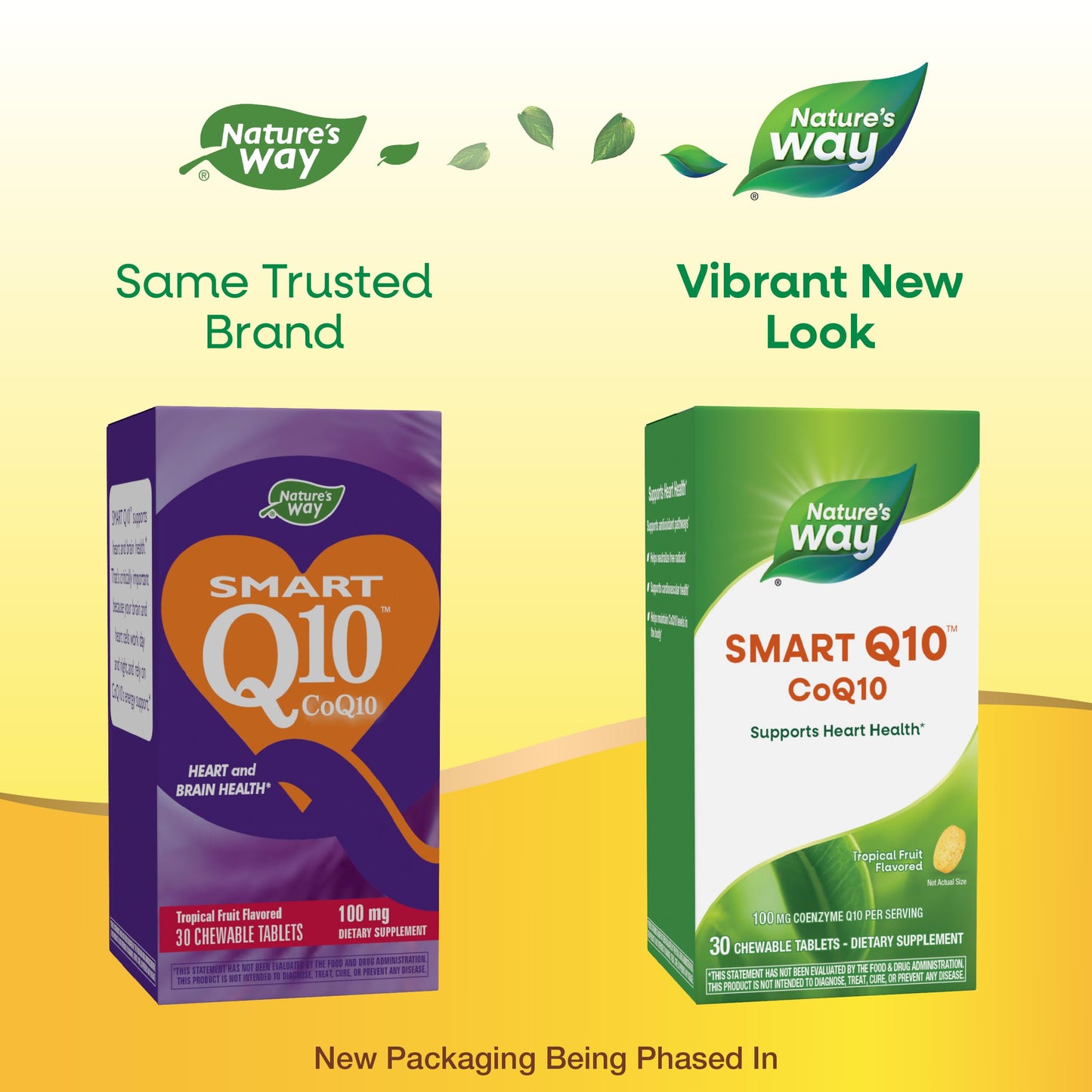 Nature's Way SMART Q10 CoQ10 Chewable 30 Count