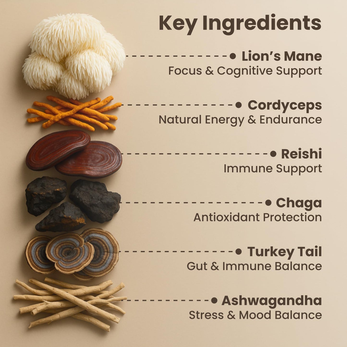 Prosper Mushroom Cocoa Powder for Focus & Immunity (Lion's Mane, Cordyceps, Chaga, Reishi, Turkey Tail) & Ashwagandha - Energy, Gut & Stress Support - Coffee Alternative & Hot Chocolate 11 Servings