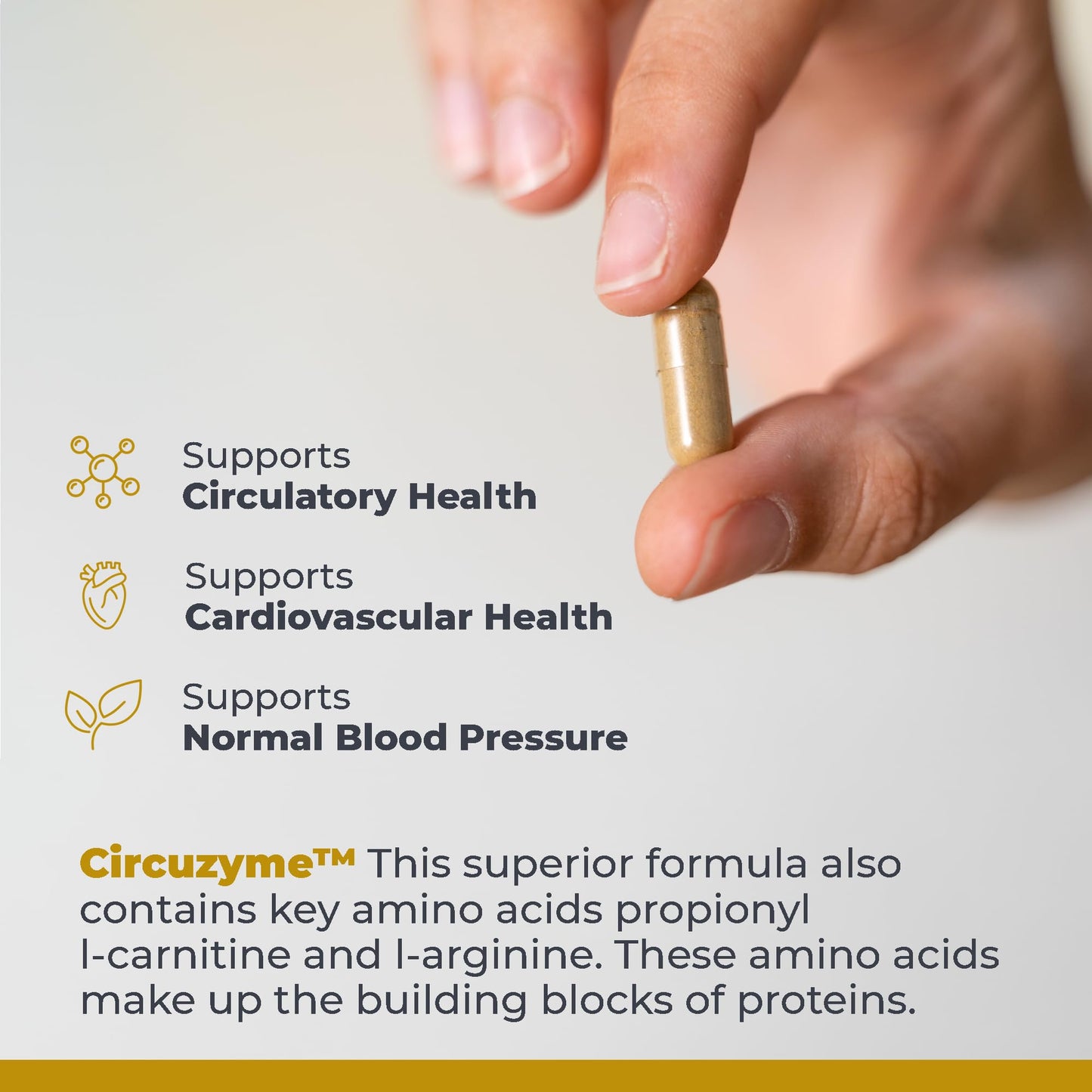Premier Research Labs CircuZyme 60 Vegetarian Capsules