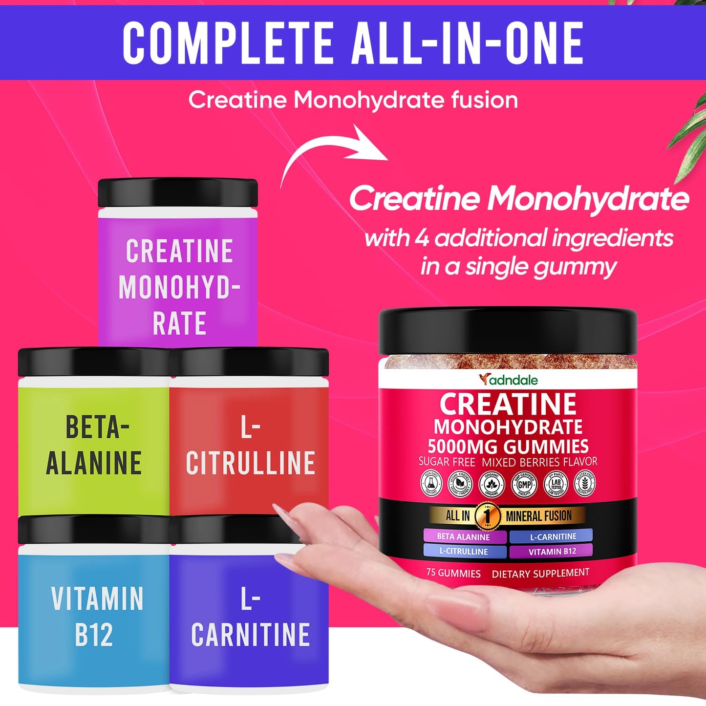 Adndale Creatine Gummies 75 Count