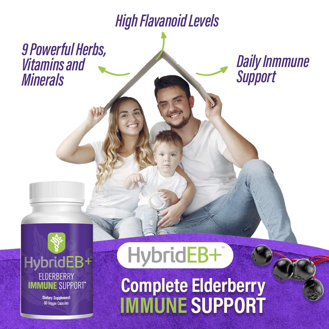 Hybrid Sambucus Elderberry Immune Support Supplement Capsule, 60 Count