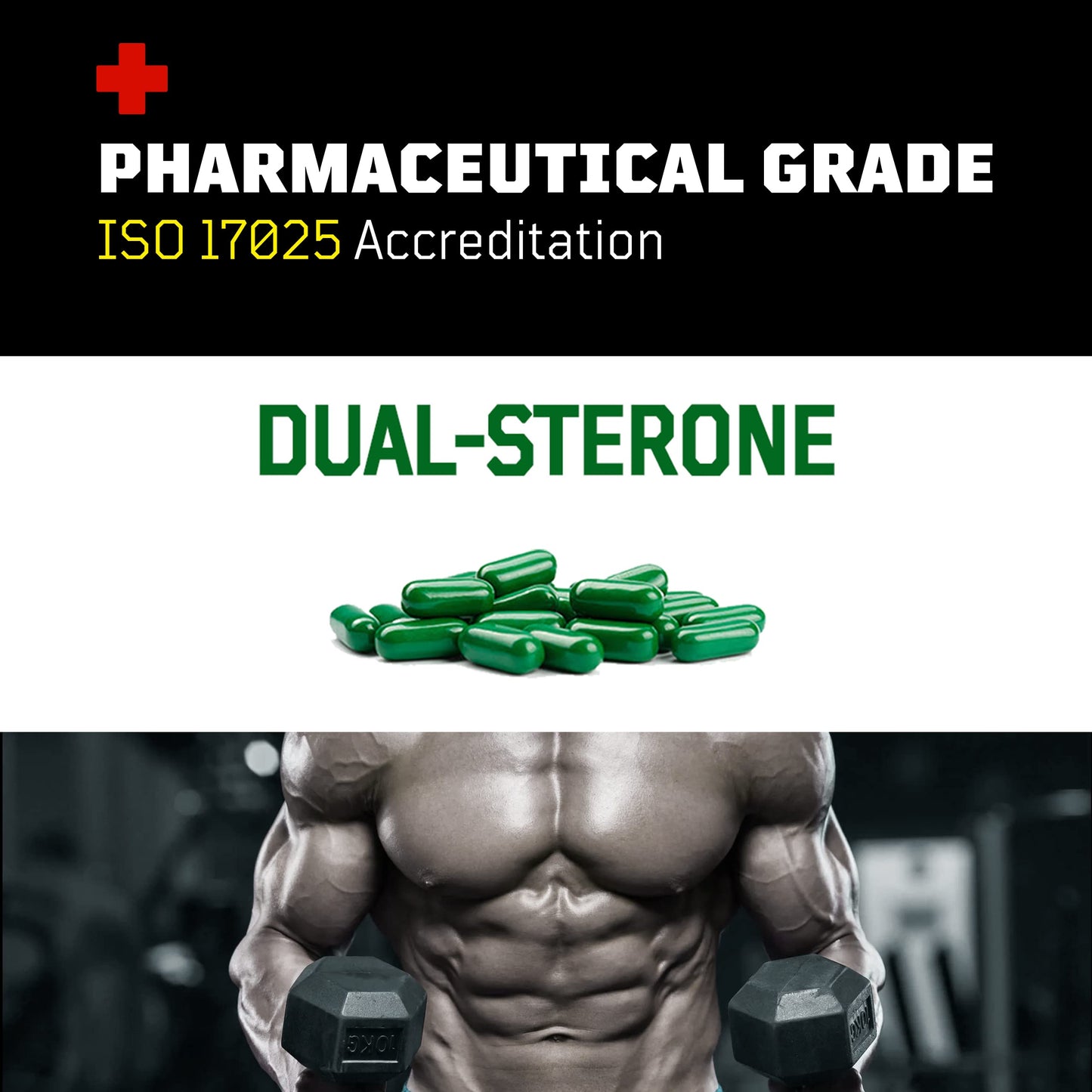 Flight Armour Turkesterone + Ecdysterone Anabolic Supplement Capsule 180 Count