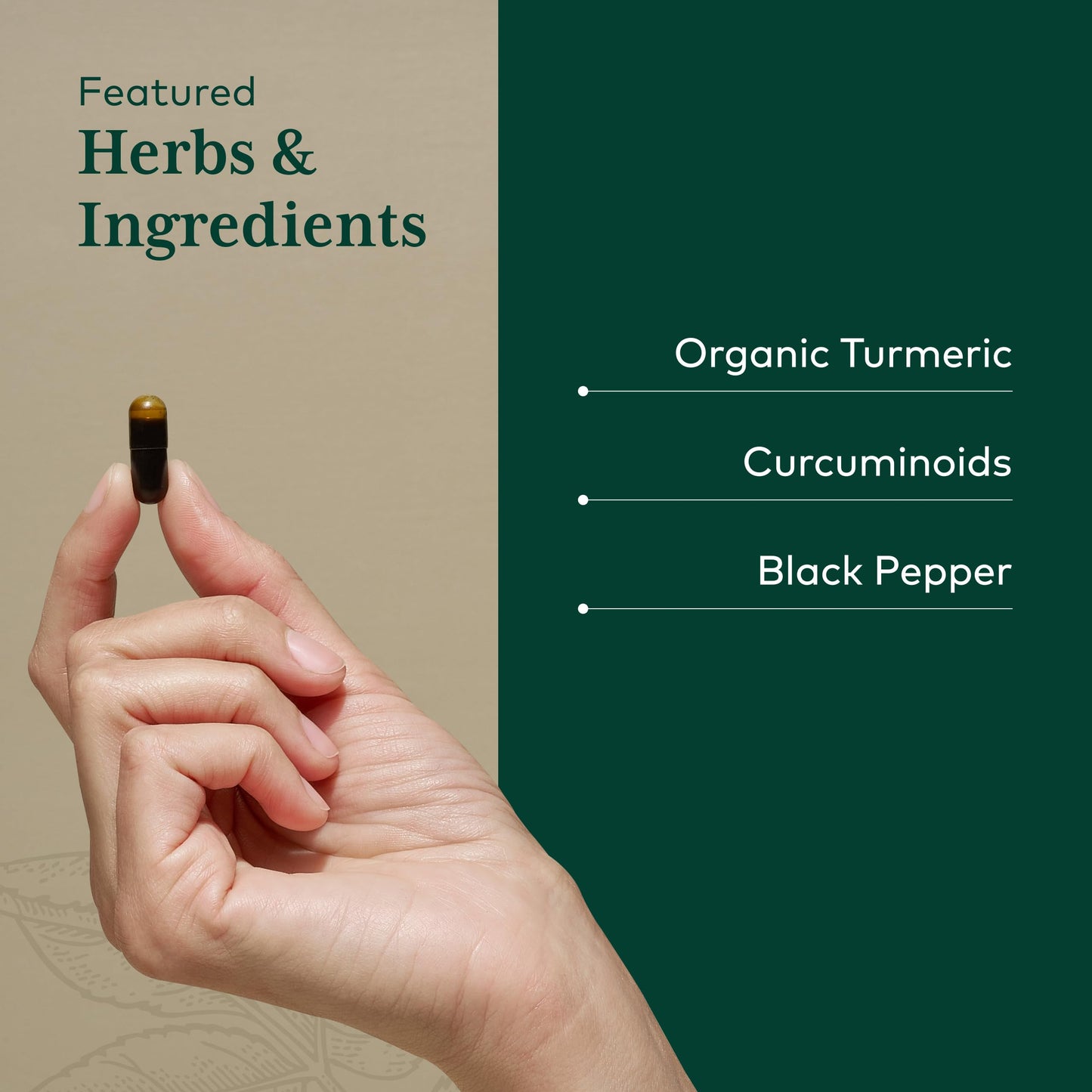 GAIA HERBS PRO Curcuma Supreme Immune Health Support Capsule 120