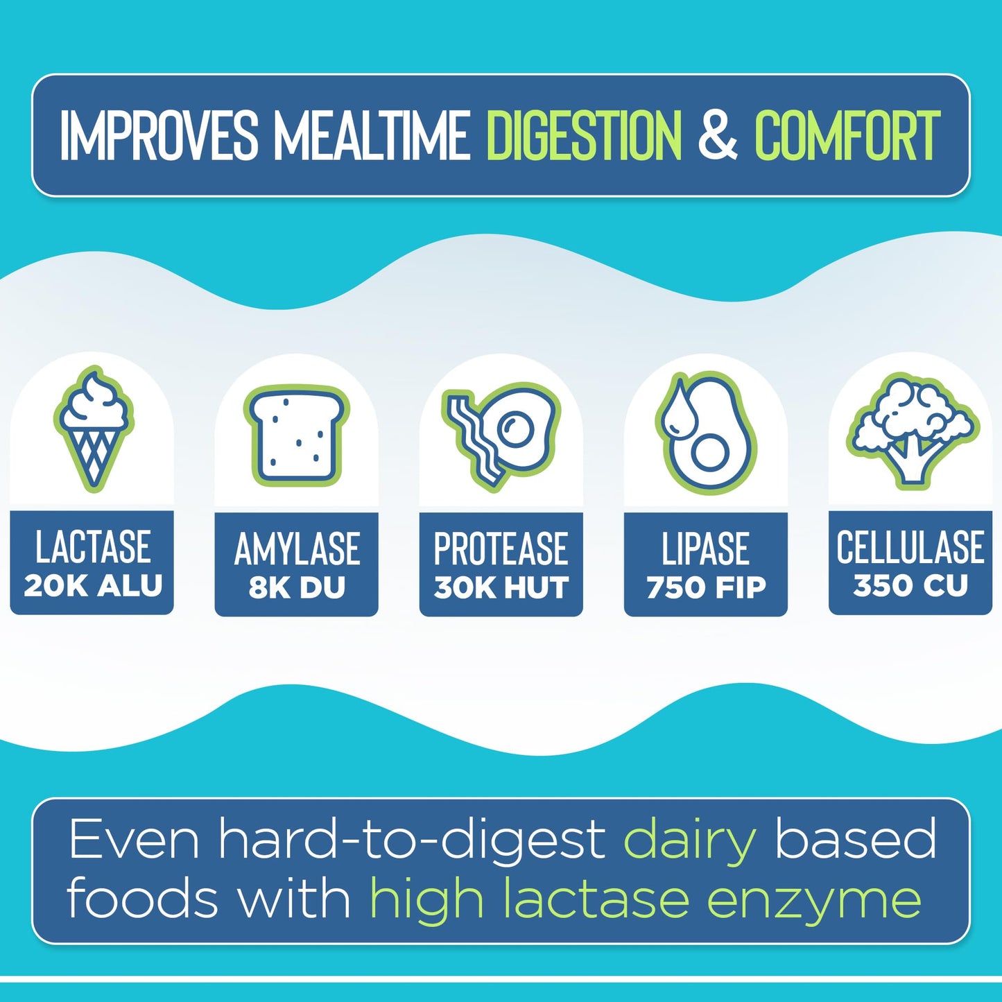 Vital Planet Digestive Enzymes Dairy Digest Support Natural Enzyme Formula Supports Breakdown of Dairy and Lactose, 60 Capsules